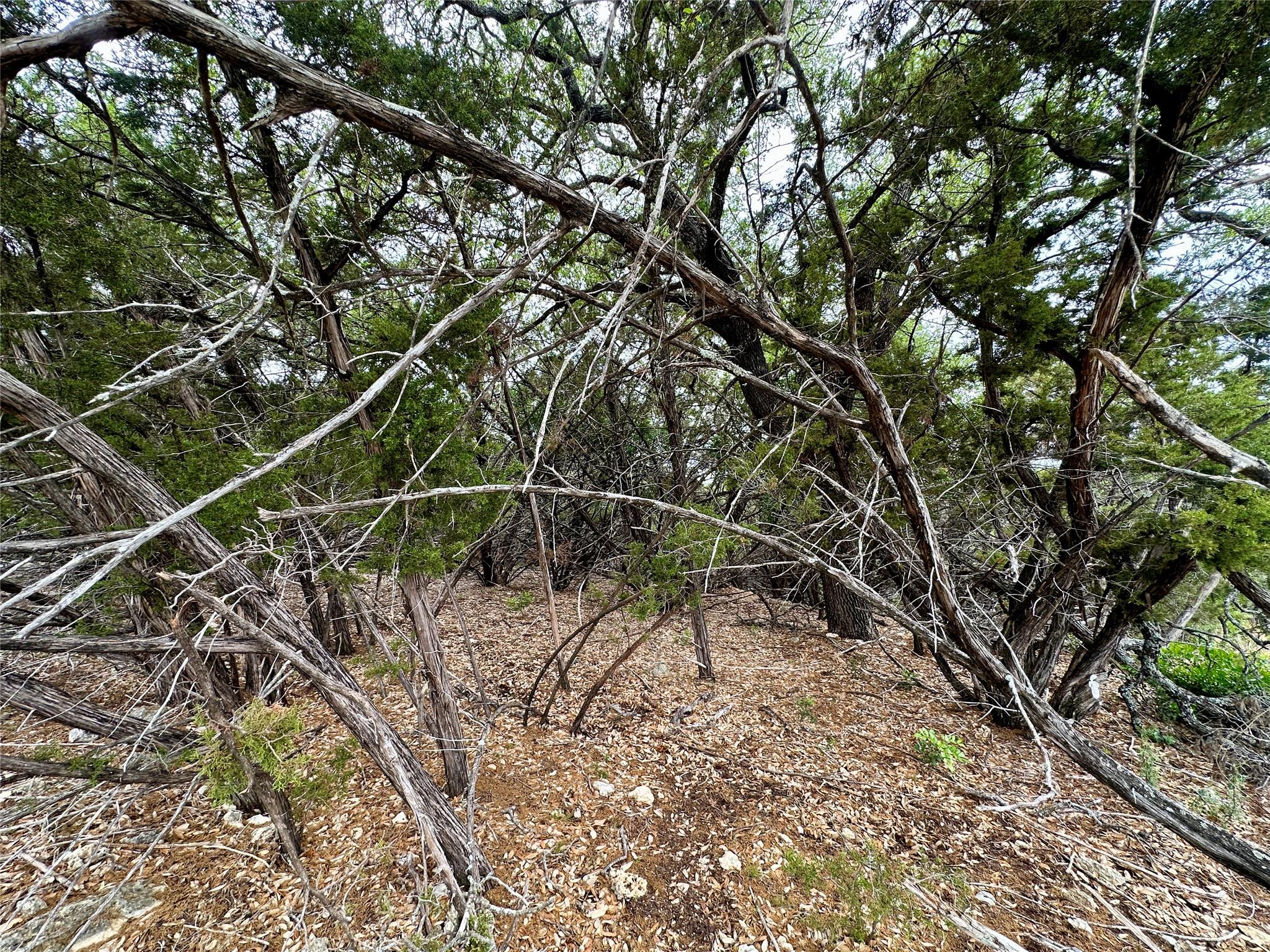 20732 Camel Back St, Lago Vista, TX 78645