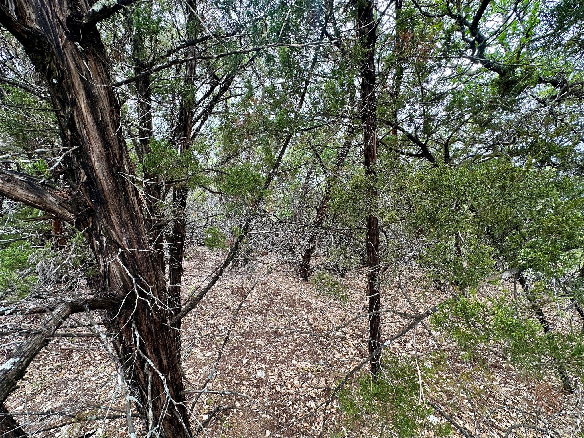 20732 Camel Back St, Lago Vista, TX 78645