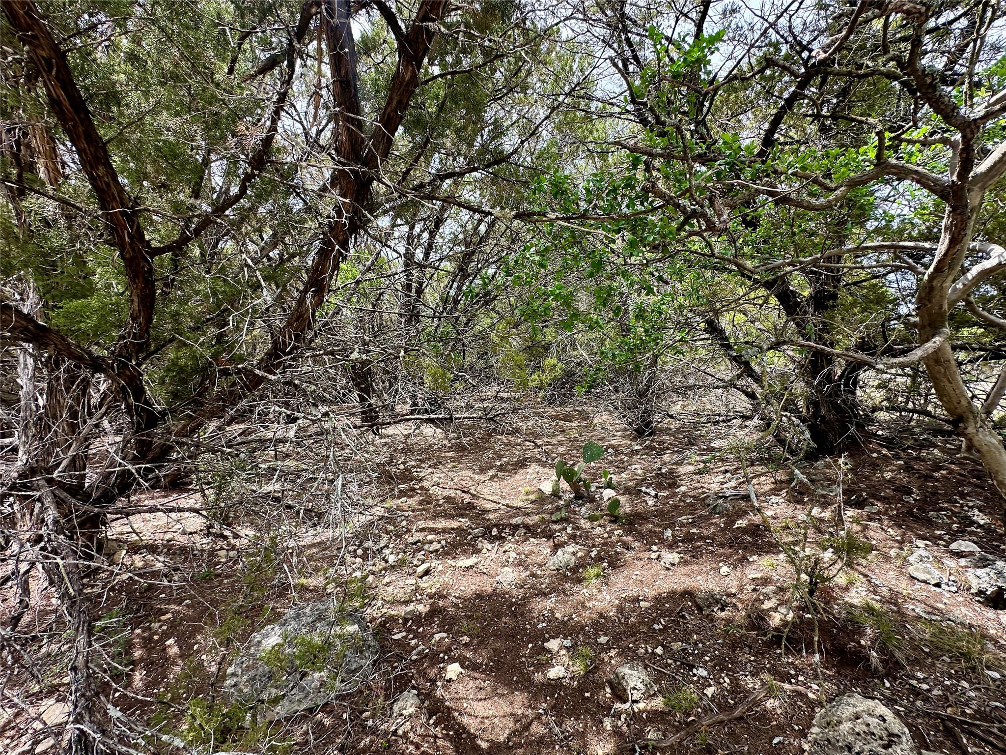 20732 Camel Back St, Lago Vista, TX 78645