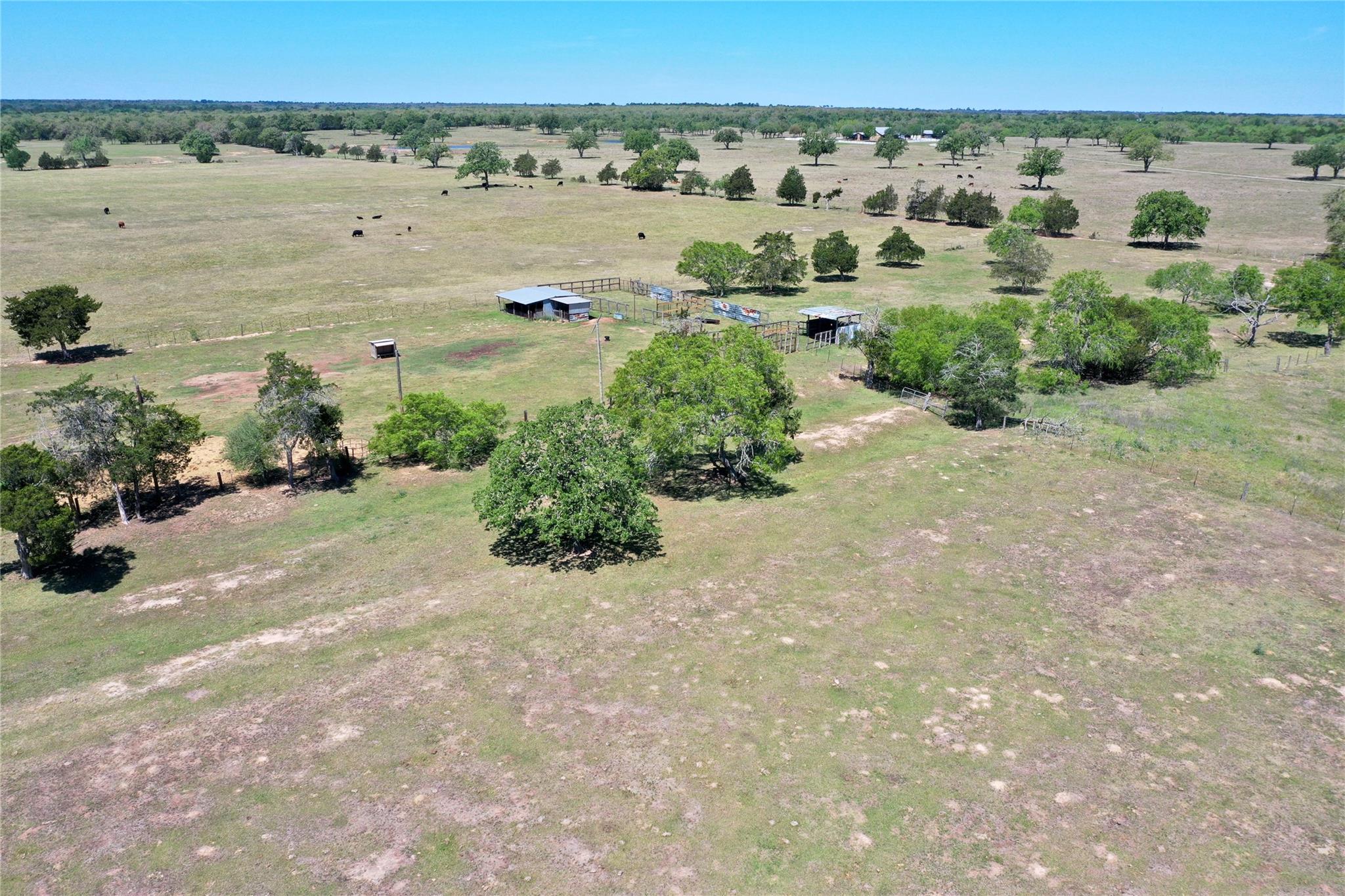 924 Hwy 95 S, Smithville, TX 78957