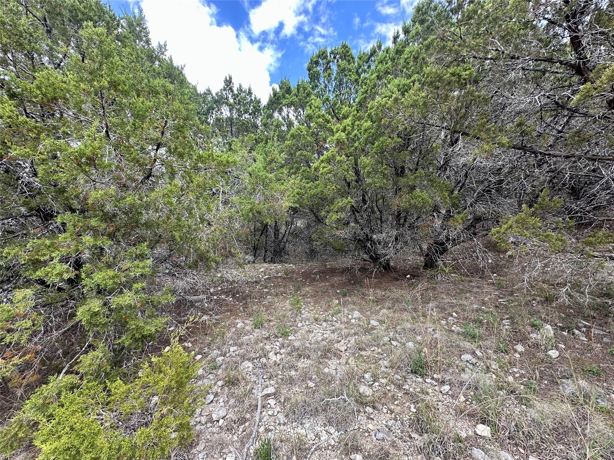 8632 Big Horn Cir, Lago Vista, TX 78645