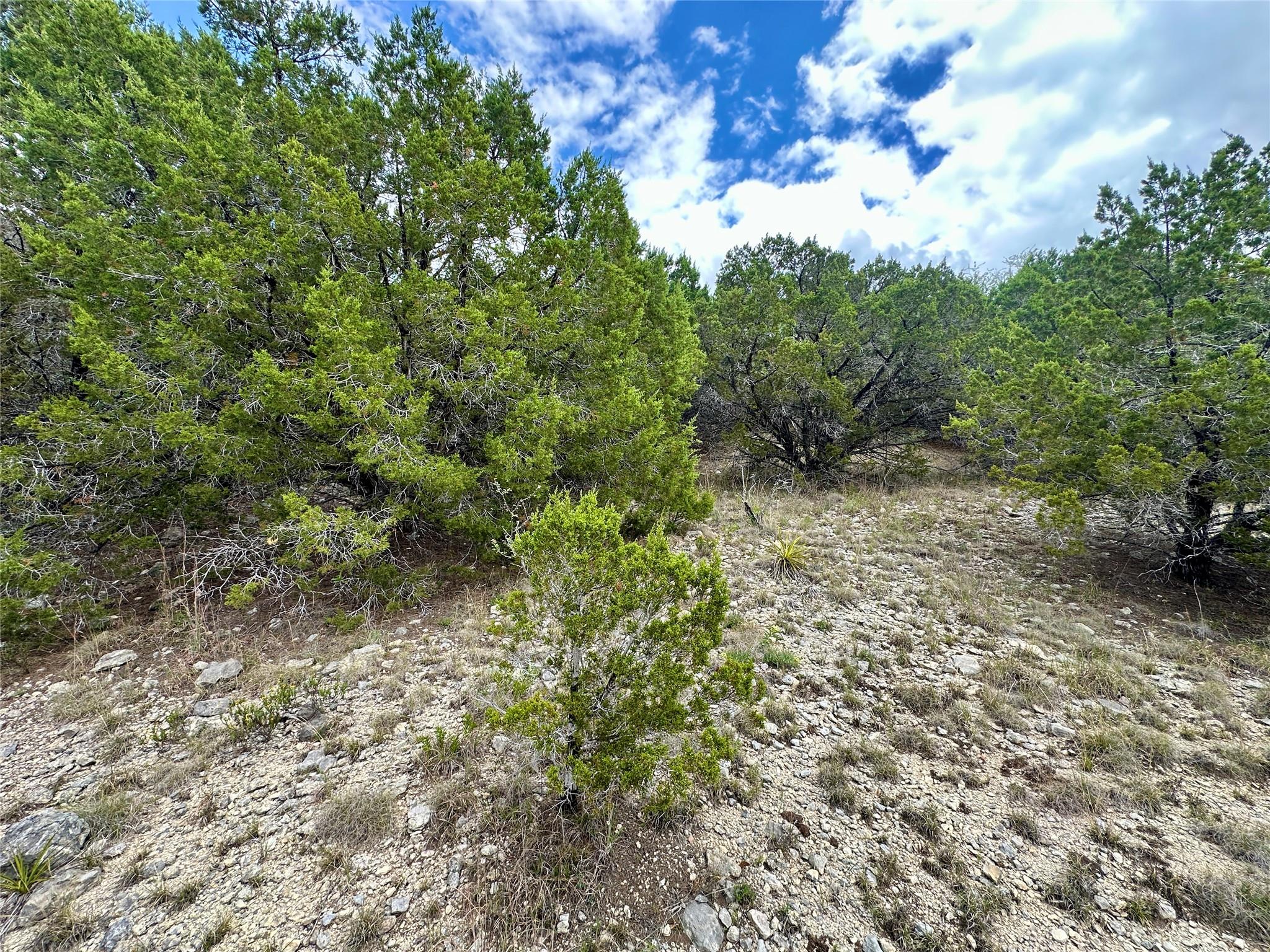 8632 Big Horn Cir, Lago Vista, TX 78645