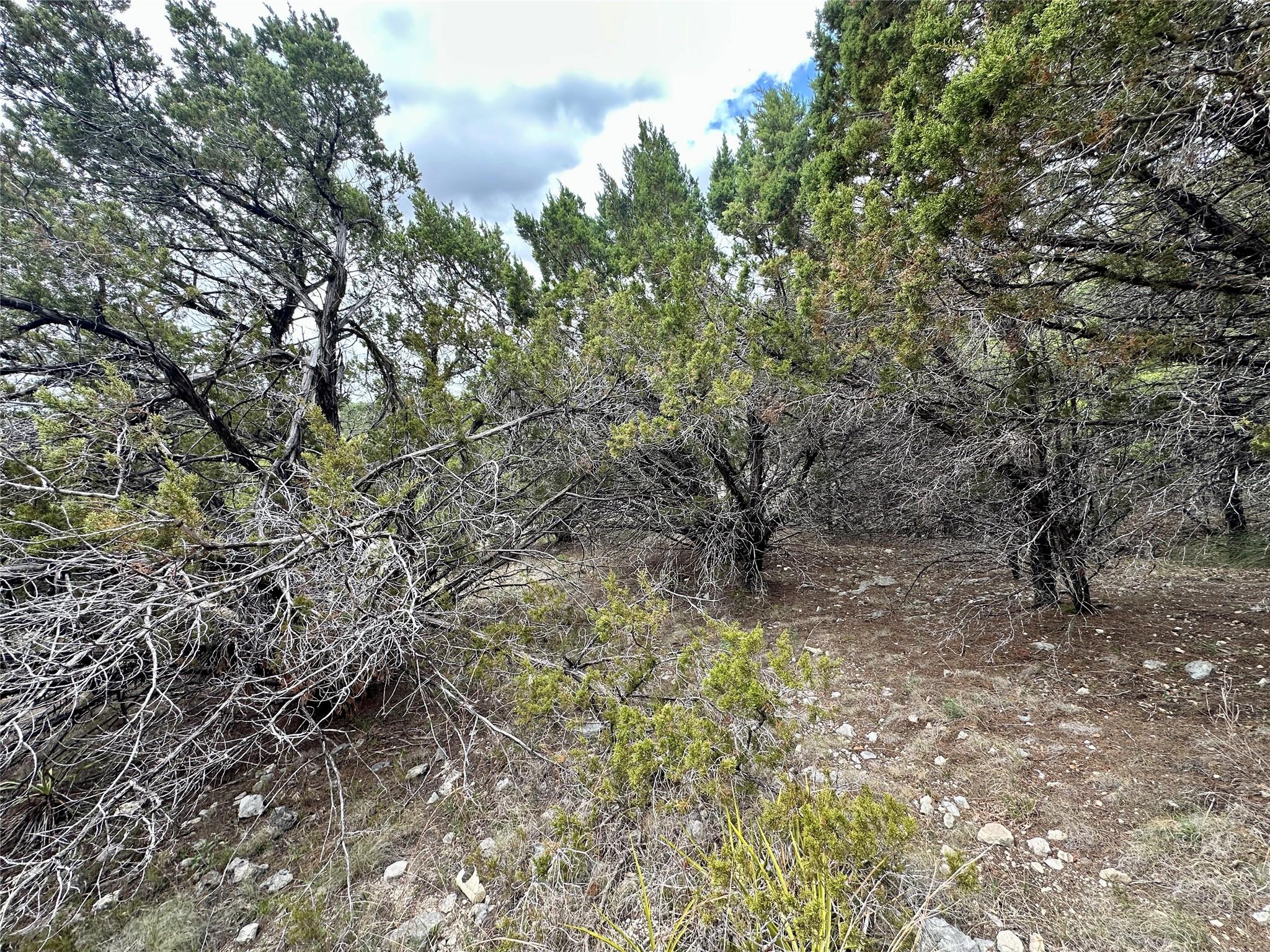 8632 Big Horn Cir, Lago Vista, TX 78645