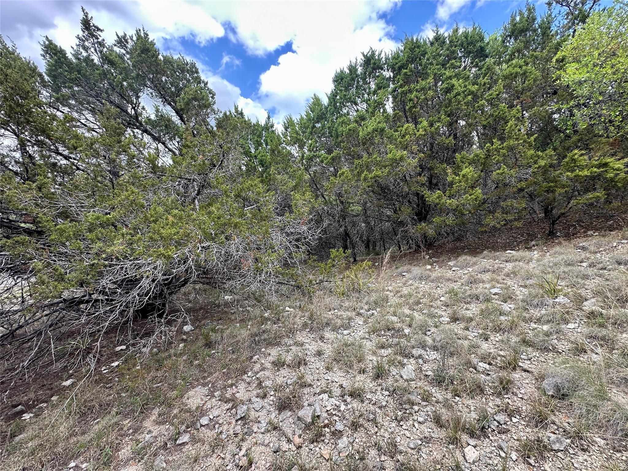 8632 Big Horn Cir, Lago Vista, TX 78645