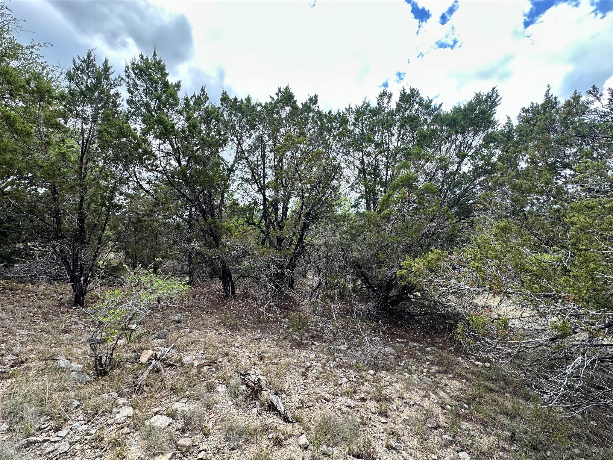 8632 Big Horn Cir, Lago Vista, TX 78645