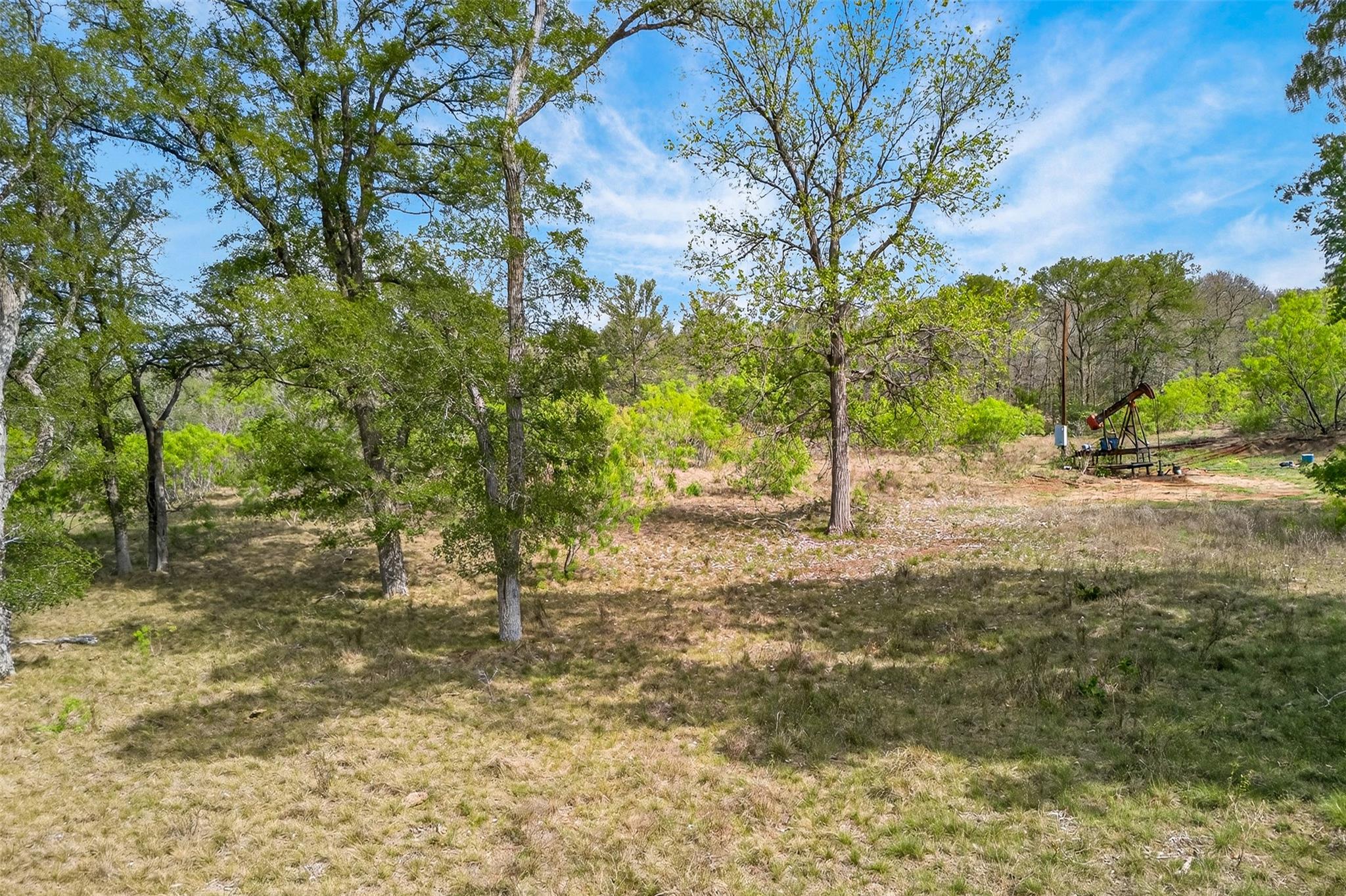 1077 Burdette Wells Rd, Lockhart, TX 78644