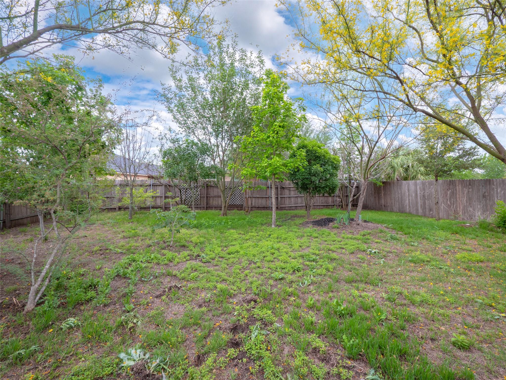 168 Cazador Dr, San Marcos, TX 78666