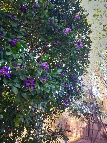 168 Cazador Dr, San Marcos, TX 78666