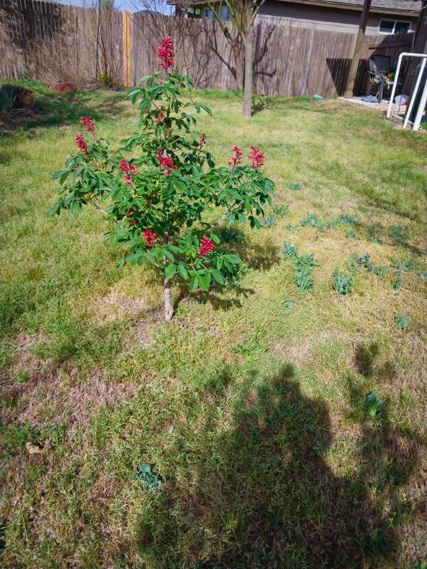 168 Cazador Dr, San Marcos, TX 78666