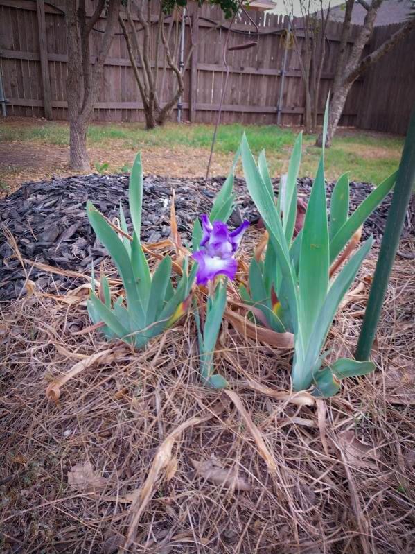 168 Cazador Dr, San Marcos, TX 78666