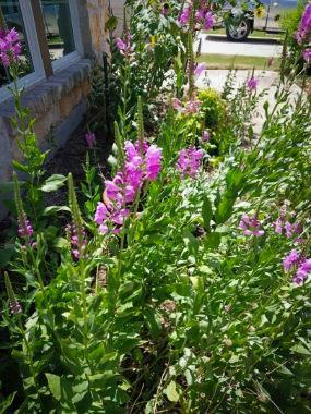 168 Cazador Dr, San Marcos, TX 78666