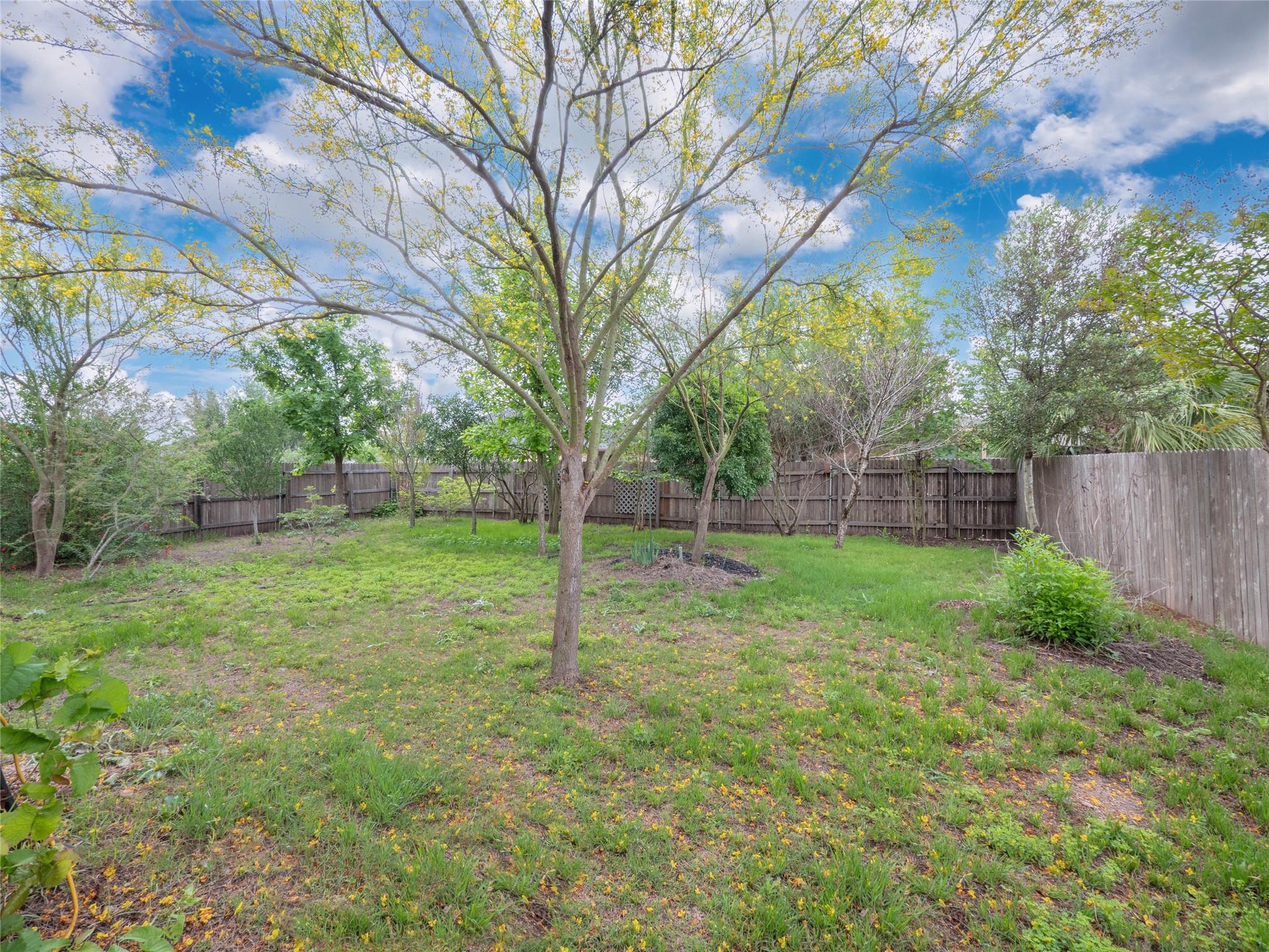 168 Cazador Dr, San Marcos, TX 78666