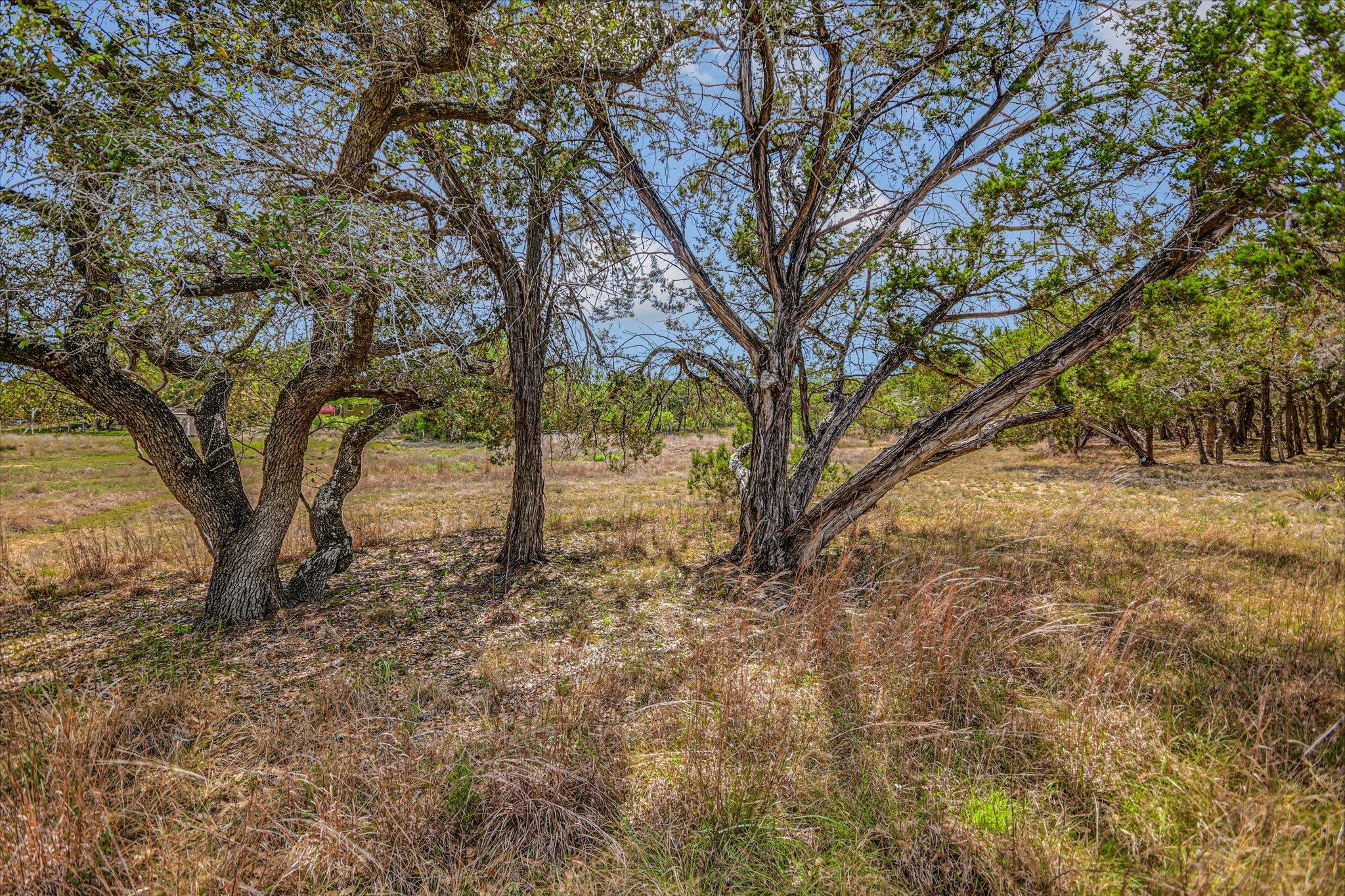 175 Fischer Trl, Wimberley, TX 78676
