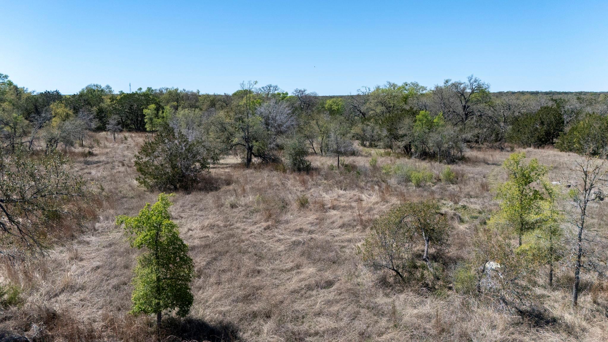 453 Nameless Rd, Driftwood, TX 78619