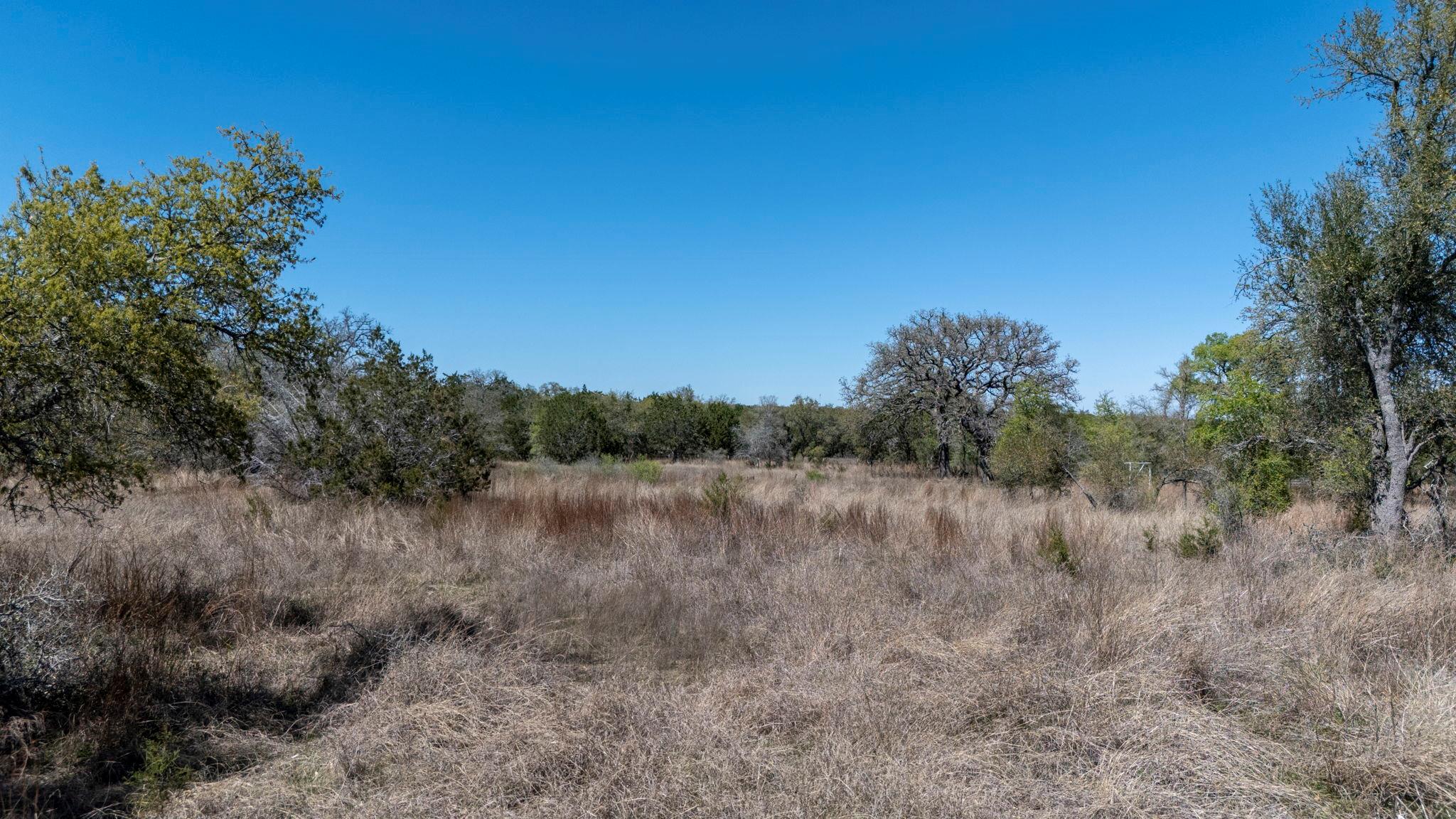 453 Nameless Rd, Driftwood, TX 78619