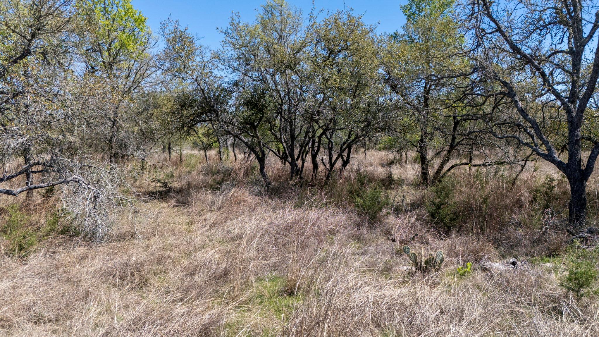 453 Nameless Rd, Driftwood, TX 78619