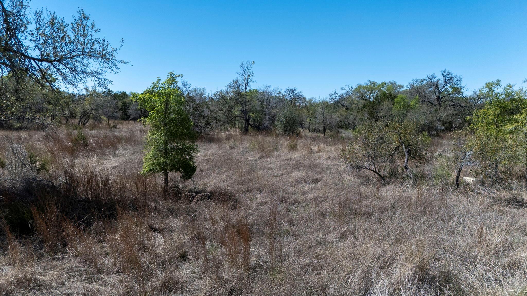 453 Nameless Rd, Driftwood, TX 78619