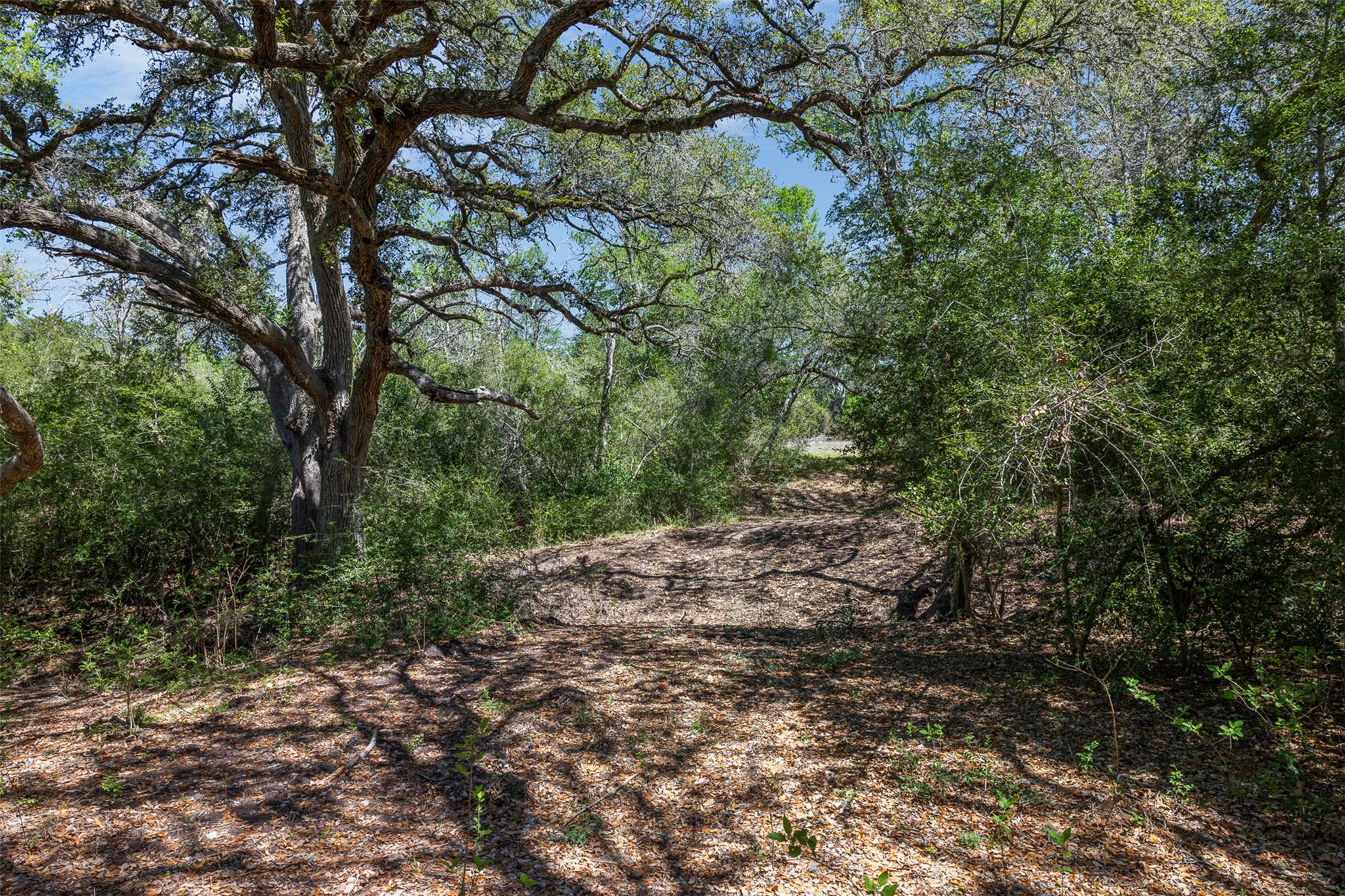 2345 Frank Rd, La Grange, TX 78945