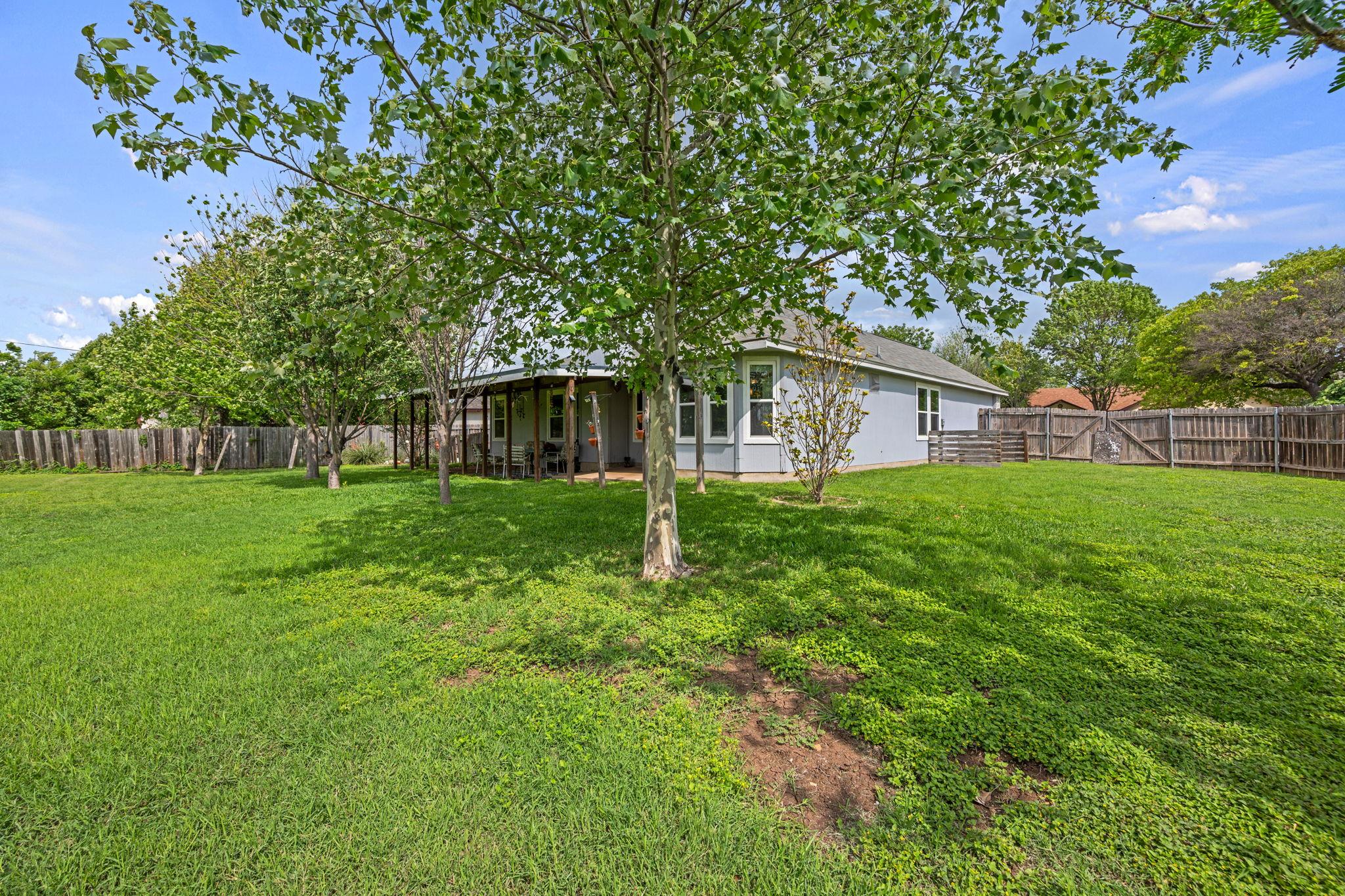 206 Evergreen Cir, Georgetown, TX 78626