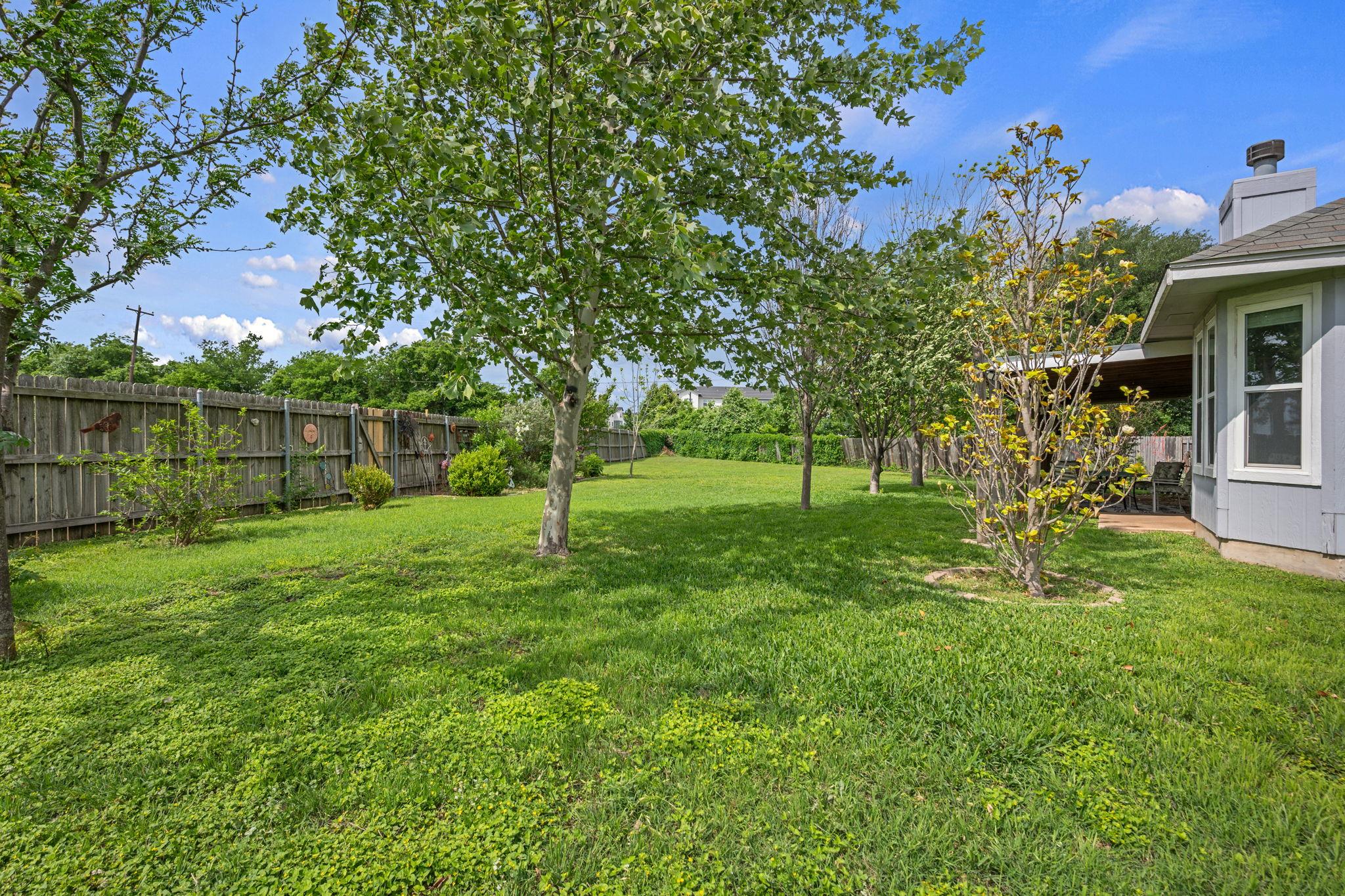 206 Evergreen Cir, Georgetown, TX 78626