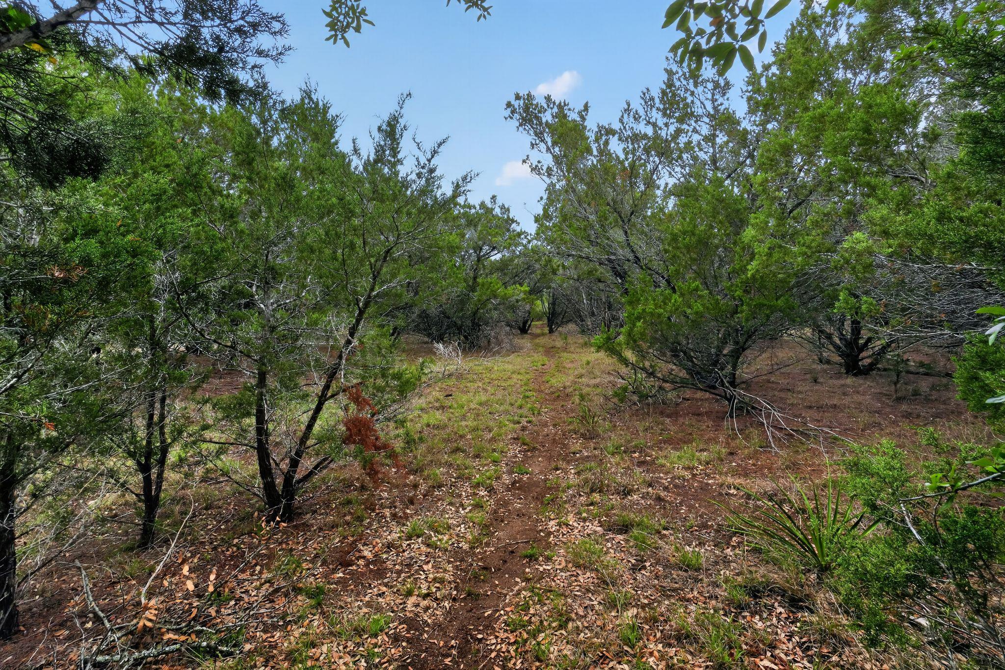 270 Rambling Oaks Dr, Wimberley, TX 78676