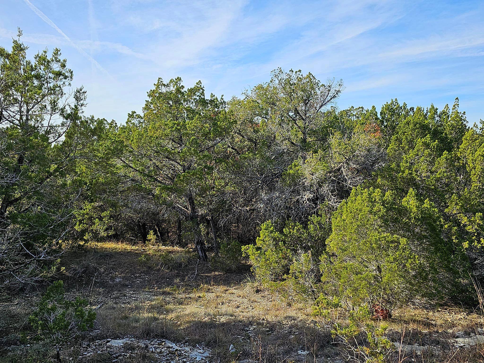 6438 Shaw Dr, Marble Falls, TX 78654