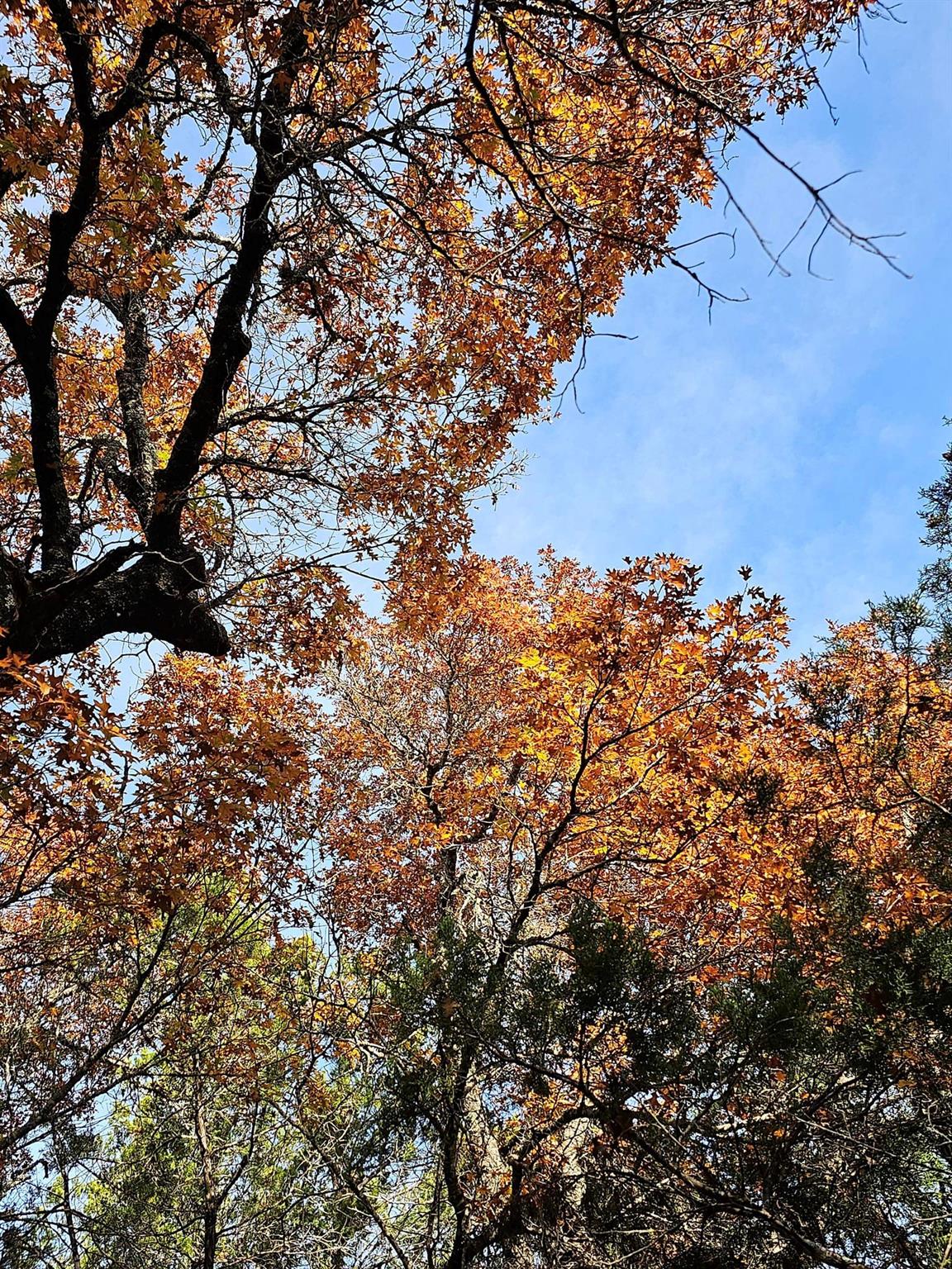 6438 Shaw Dr, Marble Falls, TX 78654