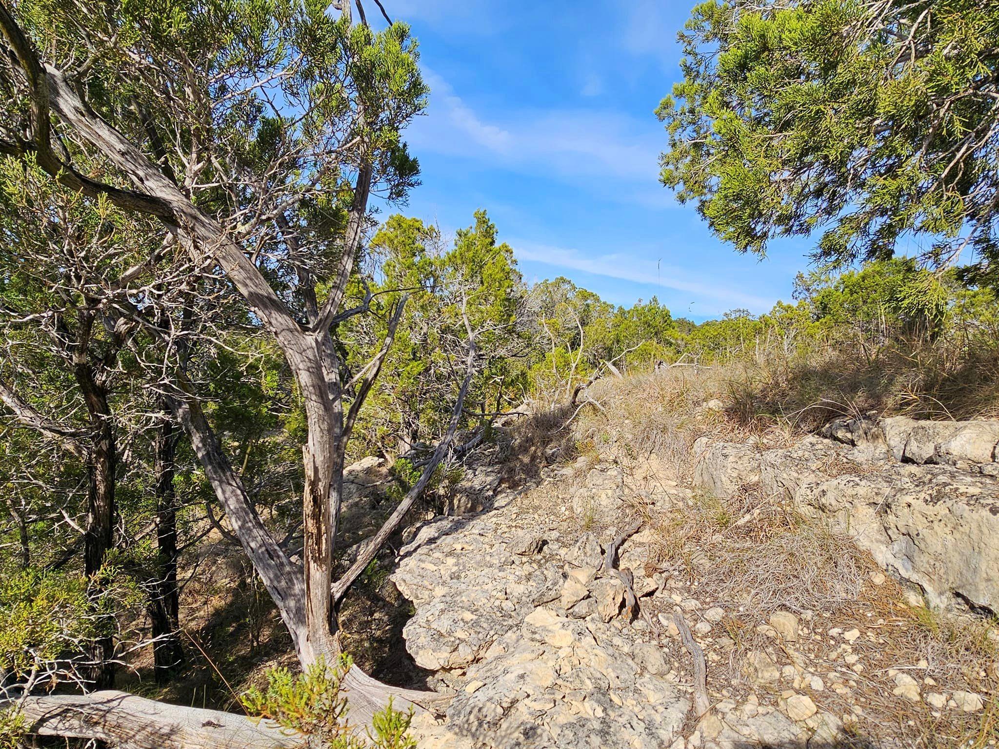 6438 Shaw Dr, Marble Falls, TX 78654