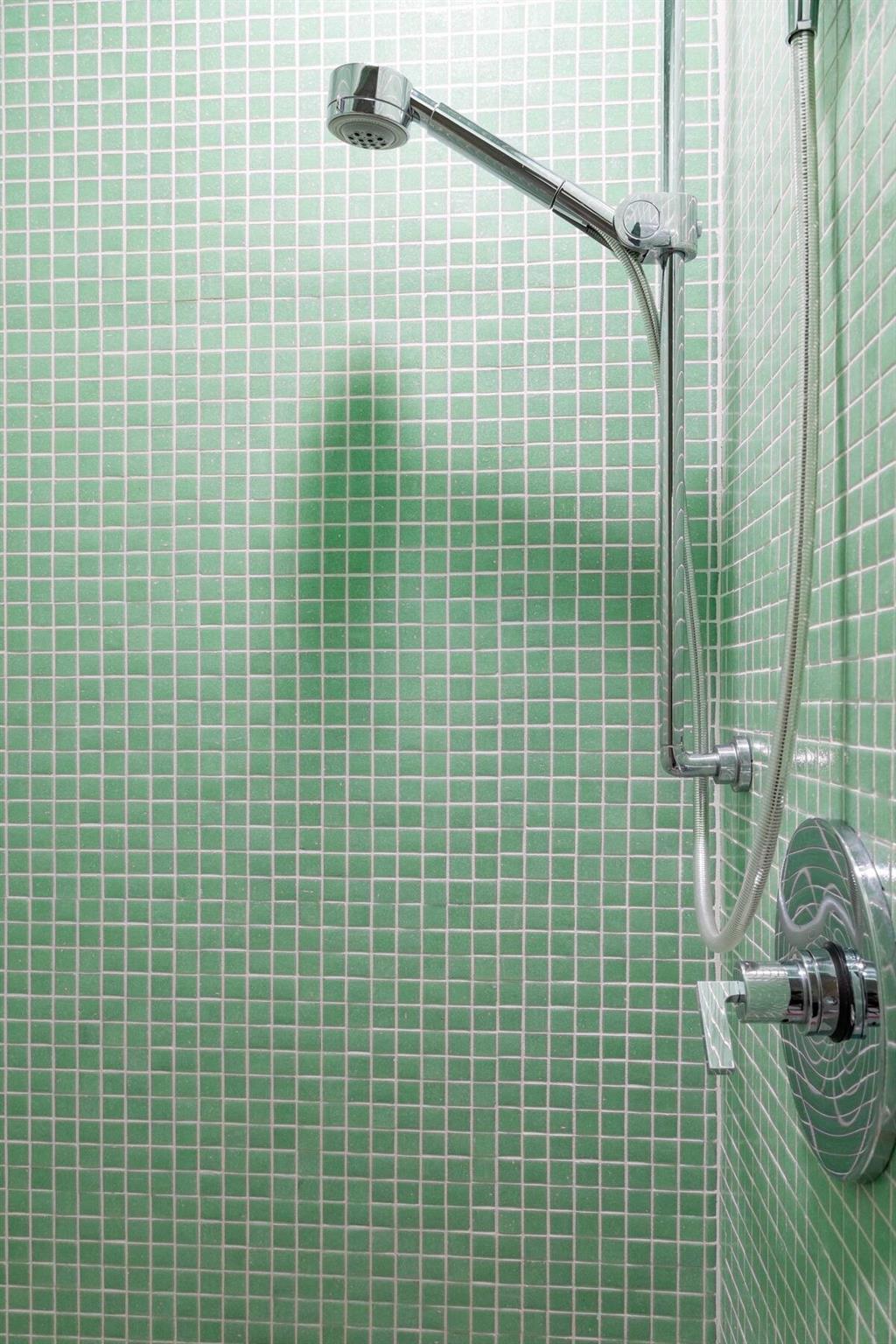 1017 Milam Pl, Austin, TX 78704