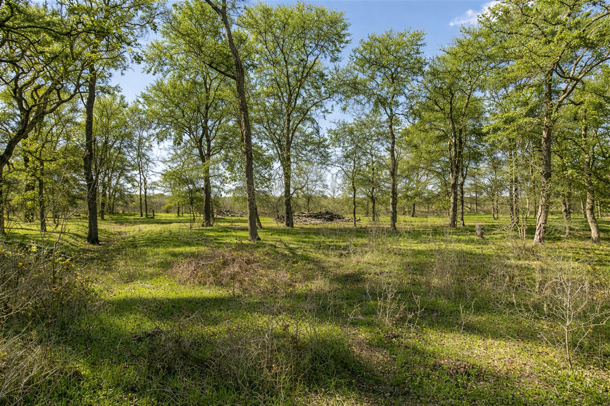 14985 Fm 86, Dale, TX 78616