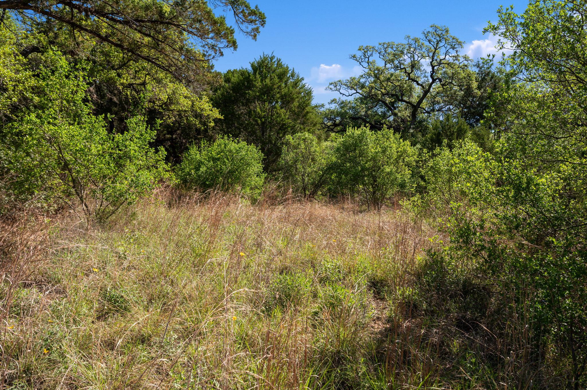 5909 Shaw Dr, Marble Falls, TX 78654
