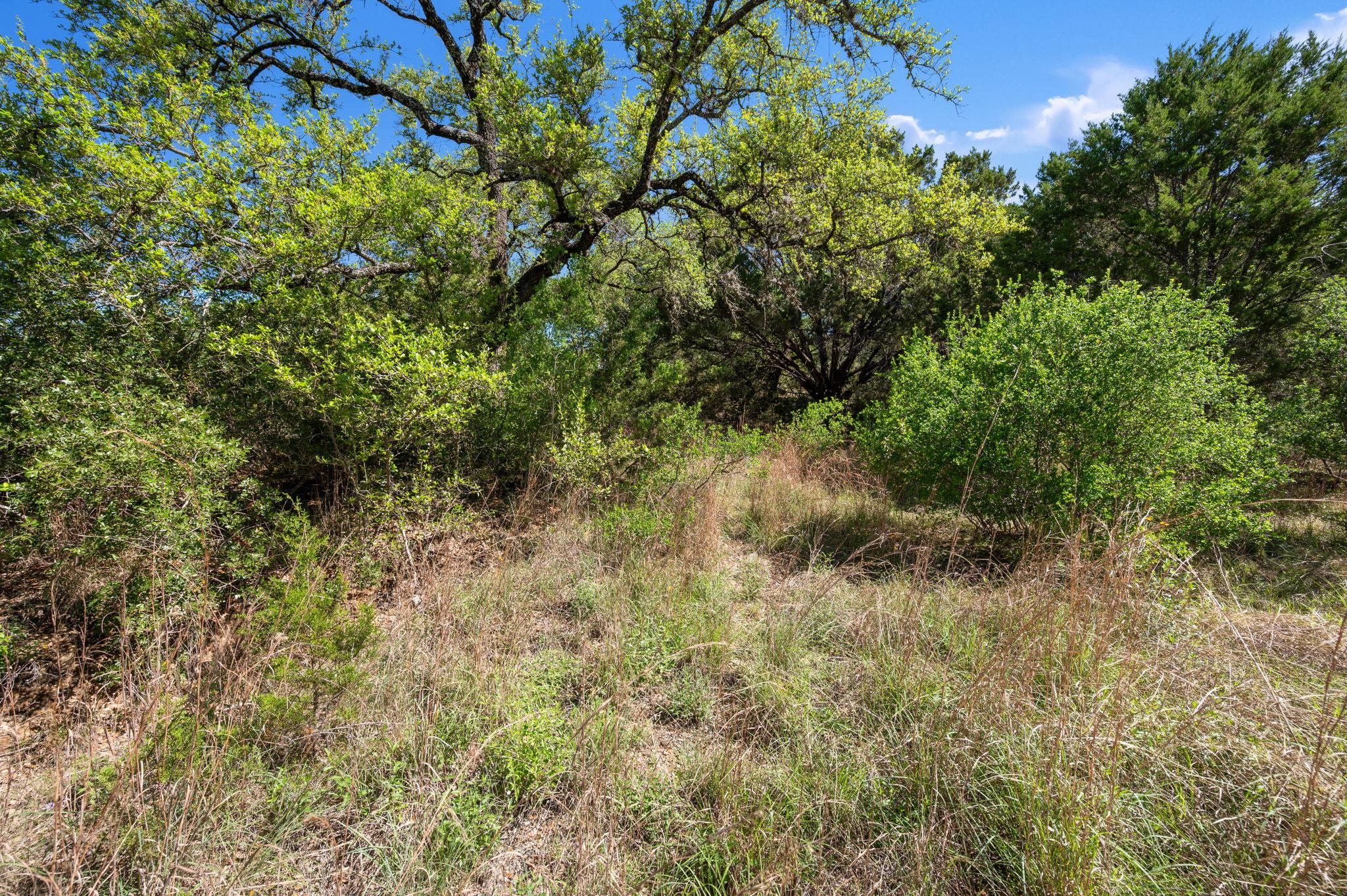 5909 Shaw Dr, Marble Falls, TX 78654