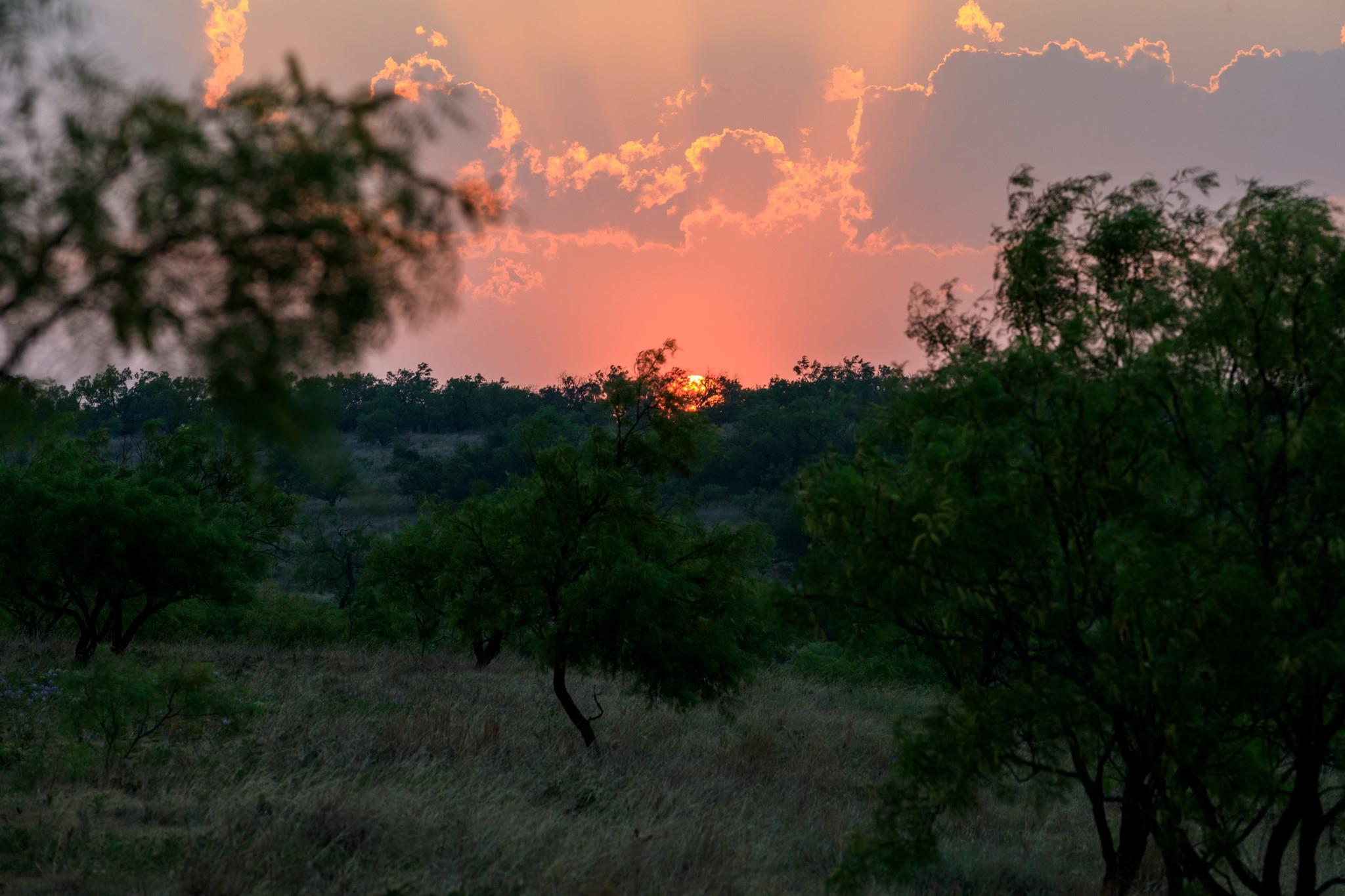 701 County Road 496, Coleman, TX 79519