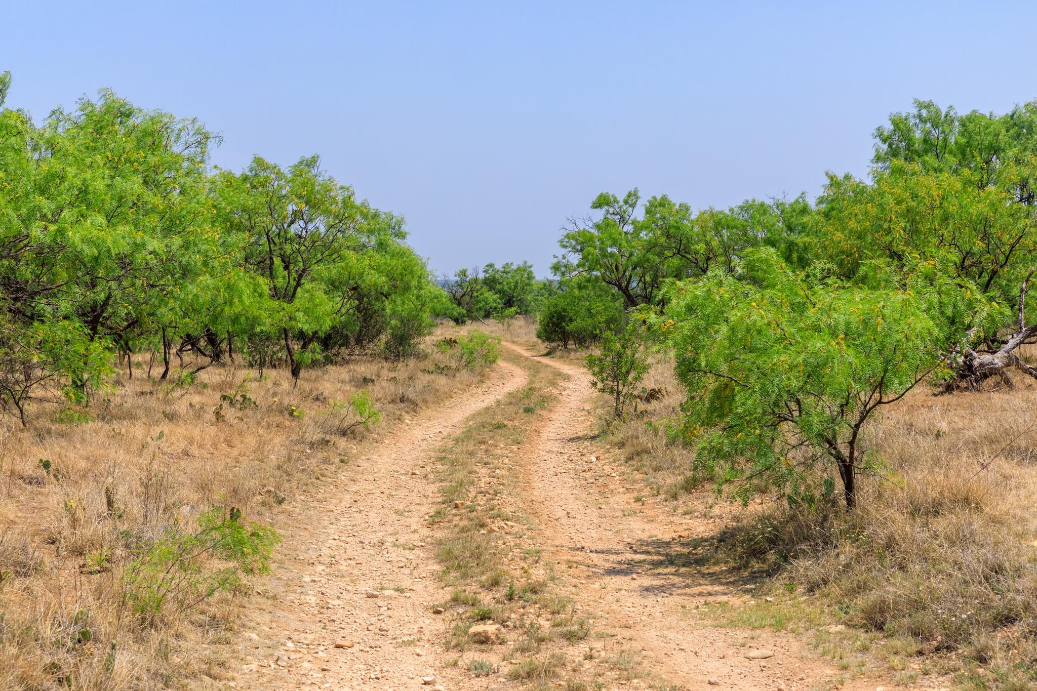 701 County Road 496, Coleman, TX 79519