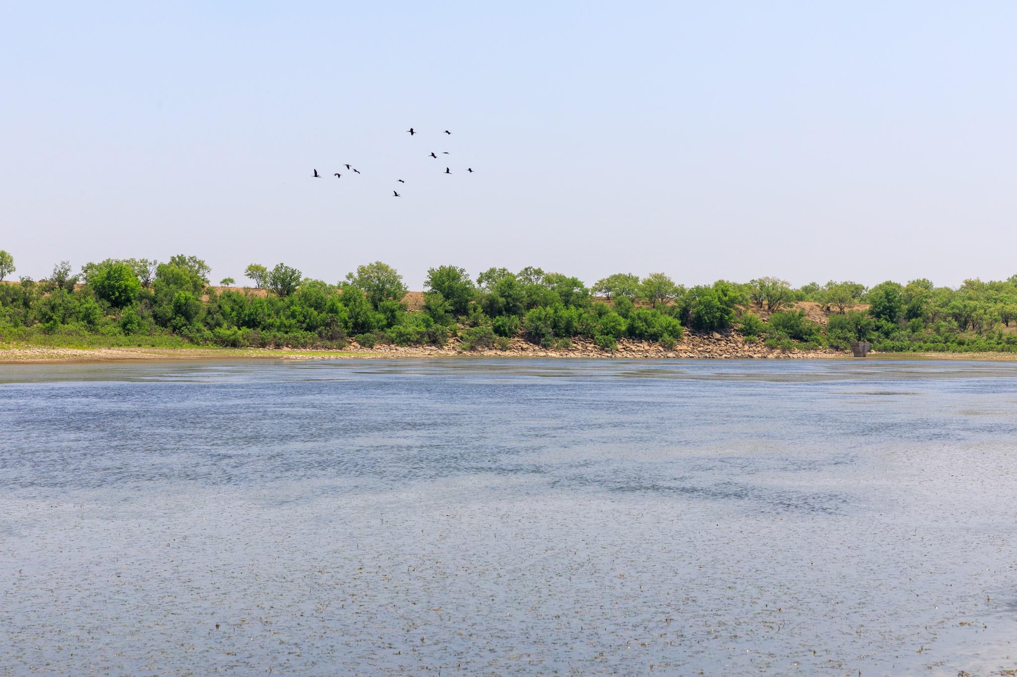 701 County Road 496, Coleman, TX 79519