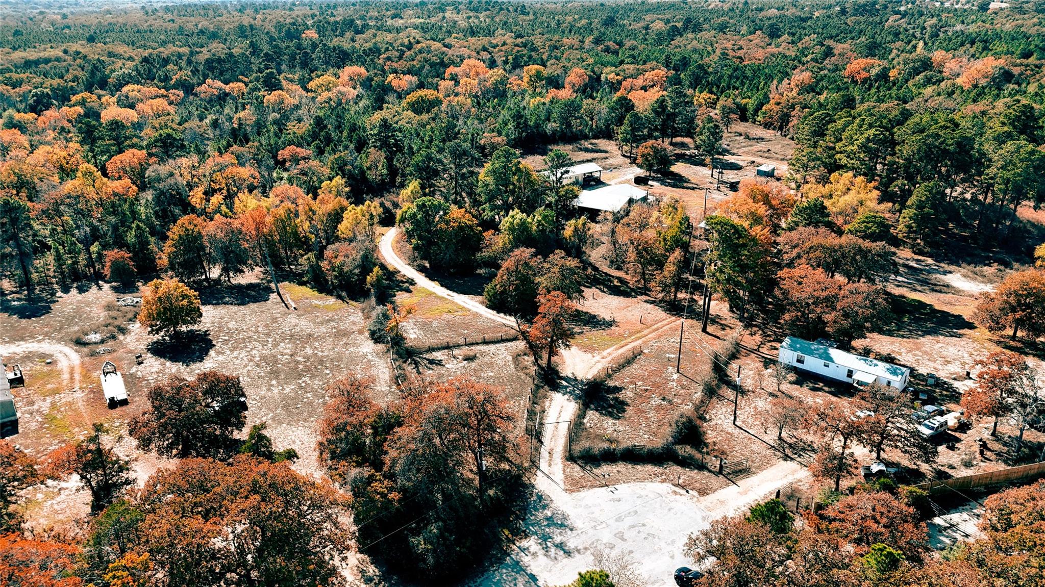 151 Palamino Ct, Paige, TX 78659