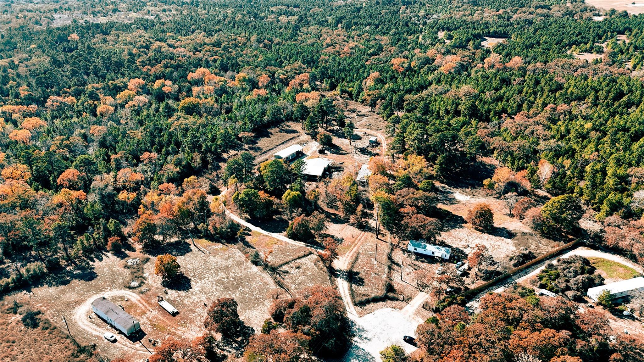 151 Palamino Ct, Paige, TX 78659