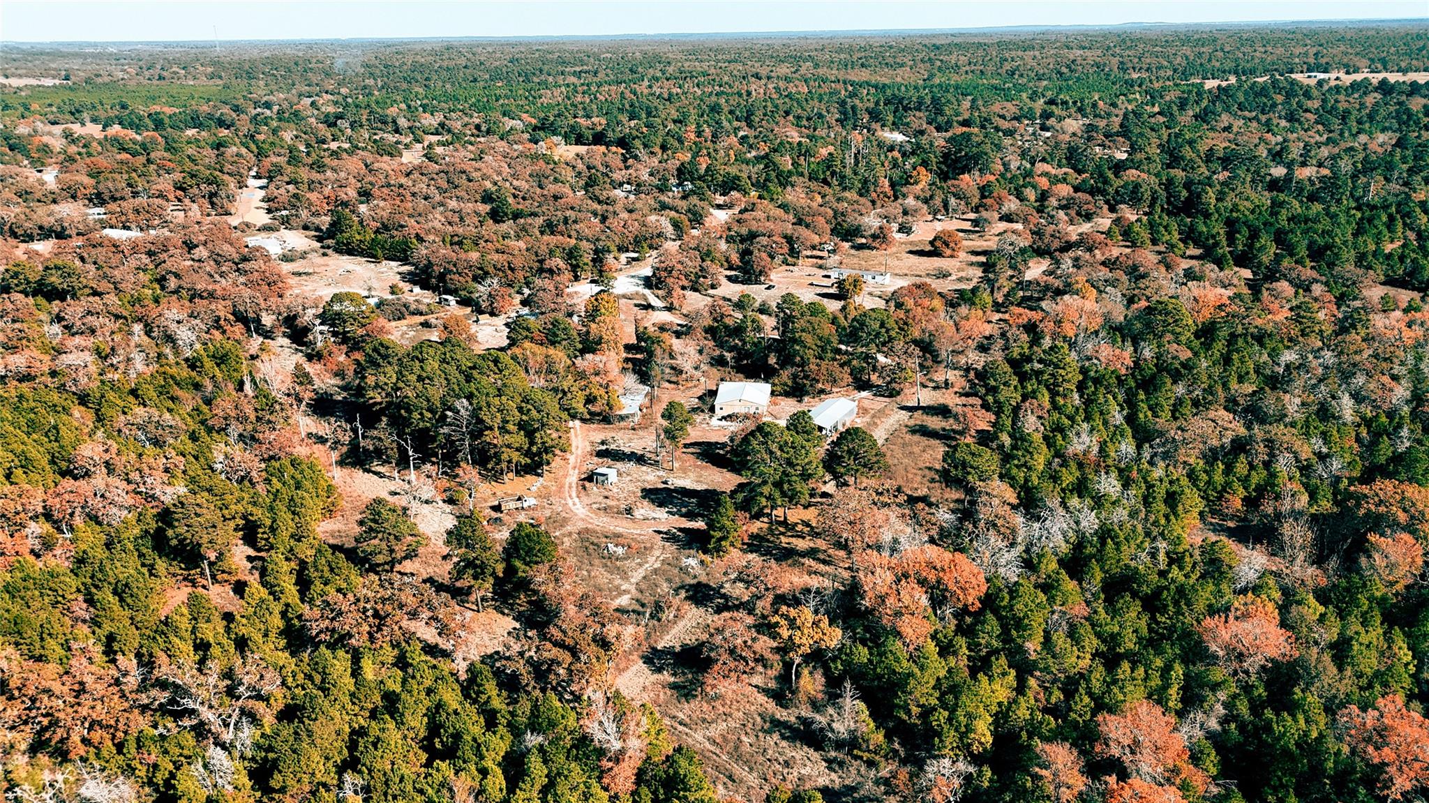 151 Palamino Ct, Paige, TX 78659