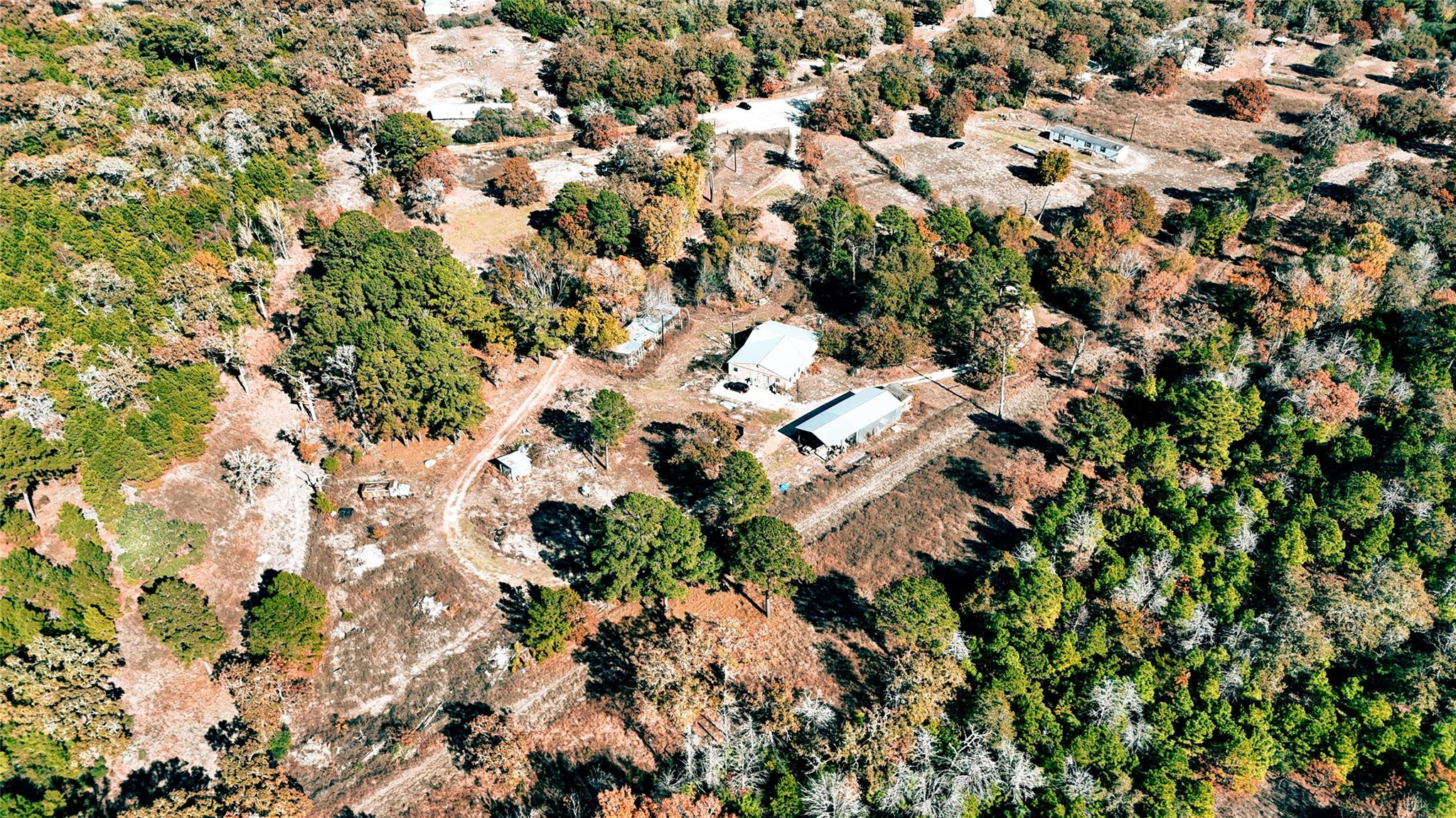 151 Palamino Ct, Paige, TX 78659