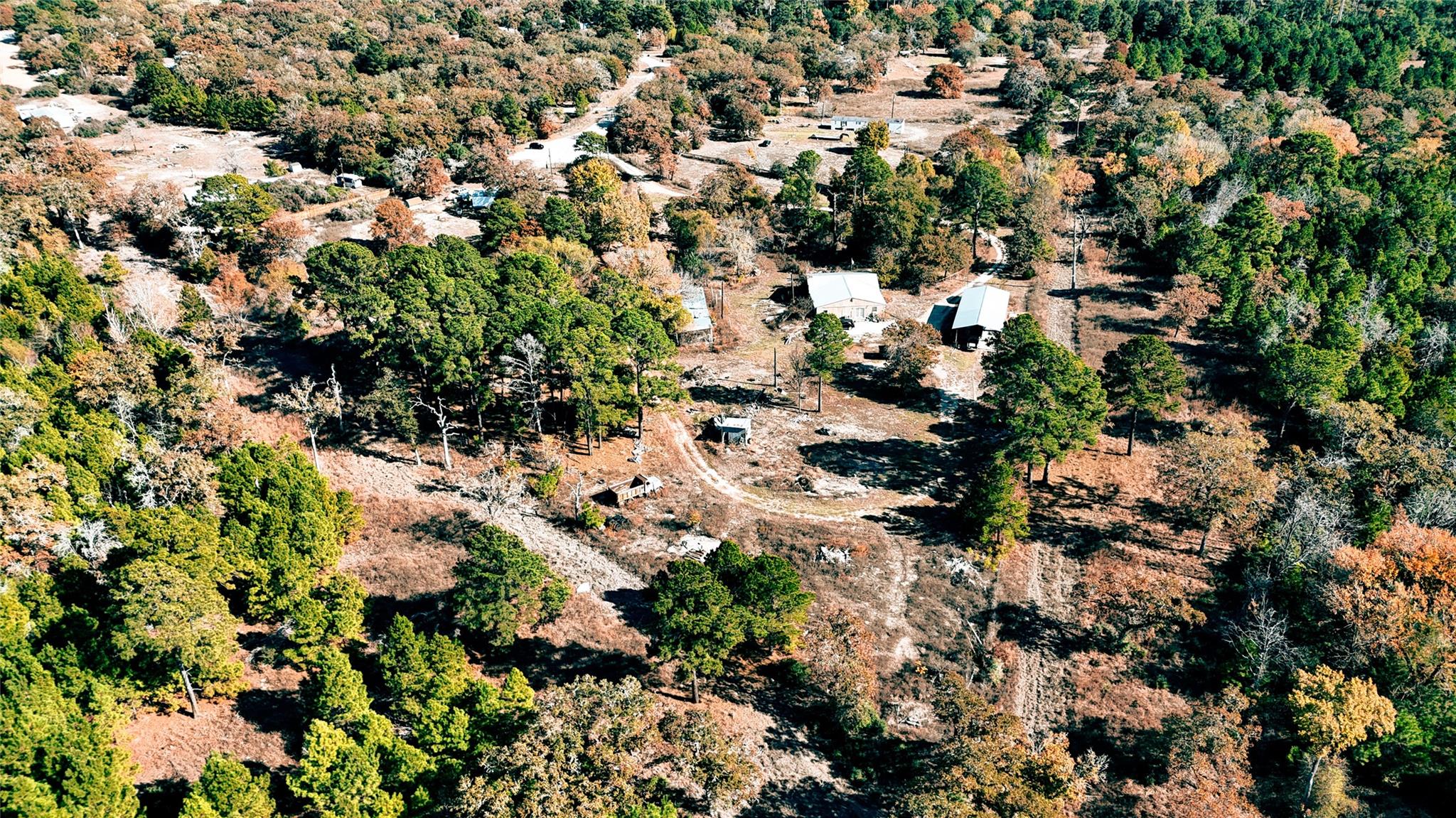 151 Palamino Ct, Paige, TX 78659