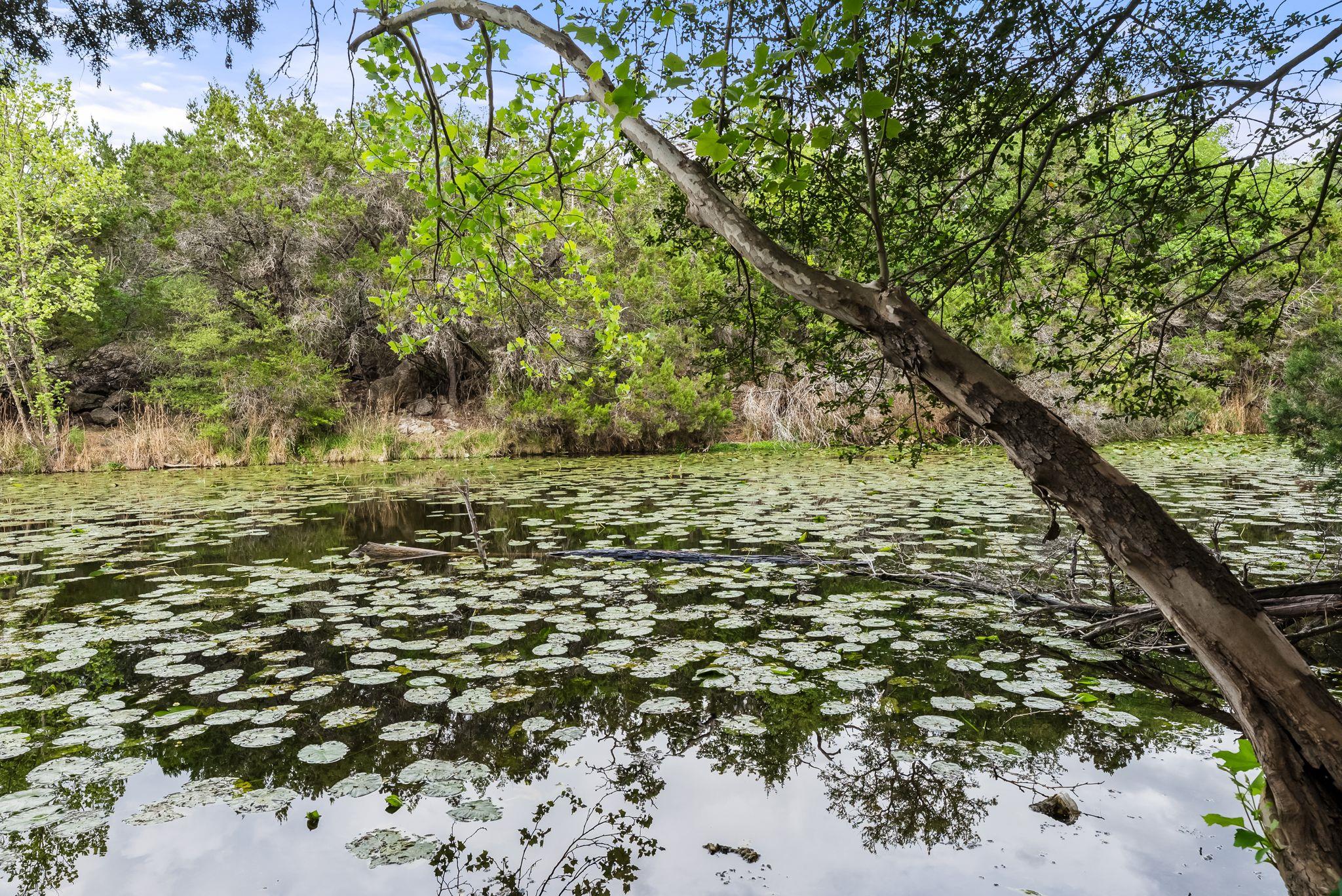 123 Top O The Lake Dr, Lakeway, TX 78734