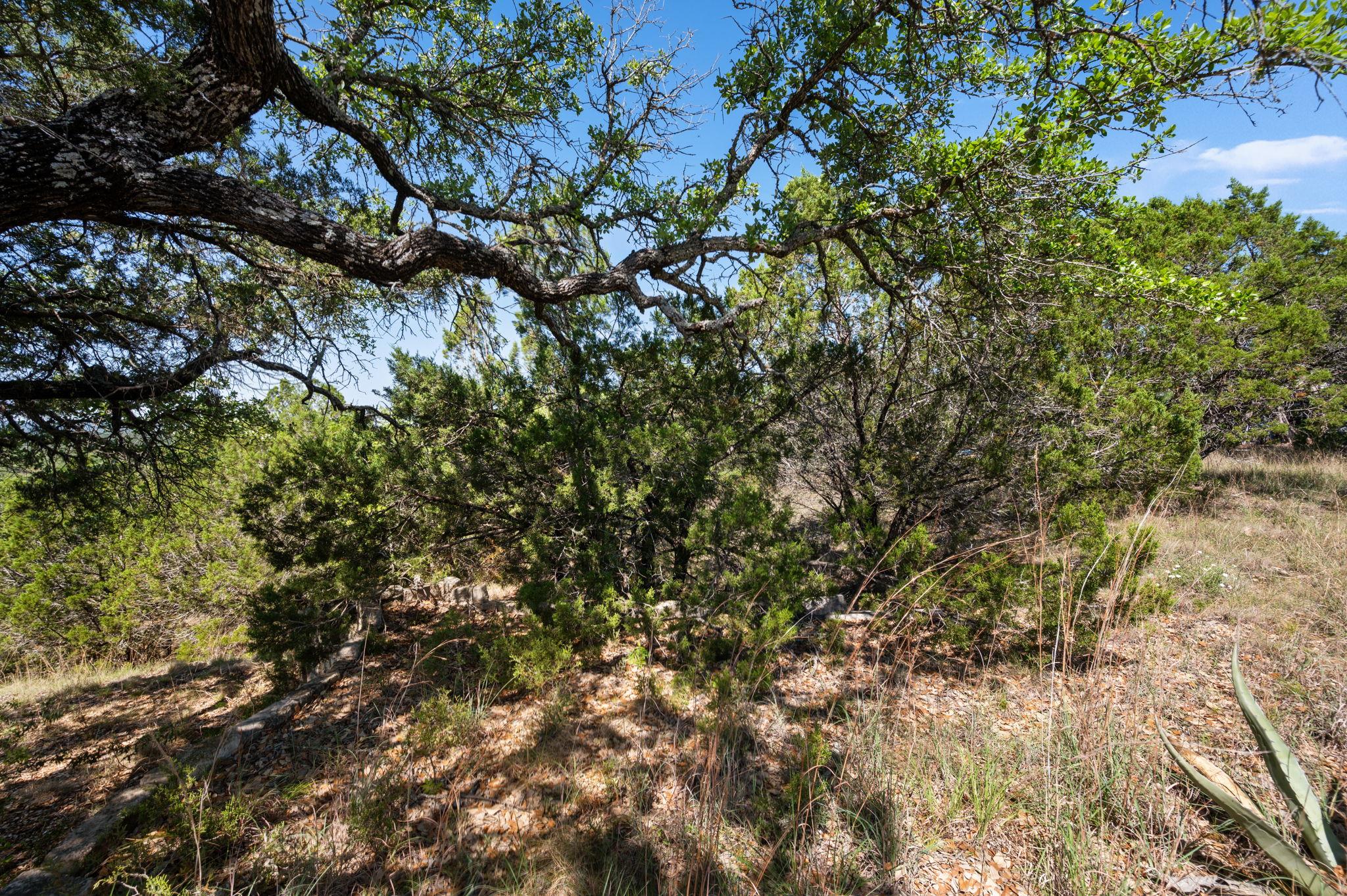 28809 Rim Rock Rd, Marble Falls, TX 78654