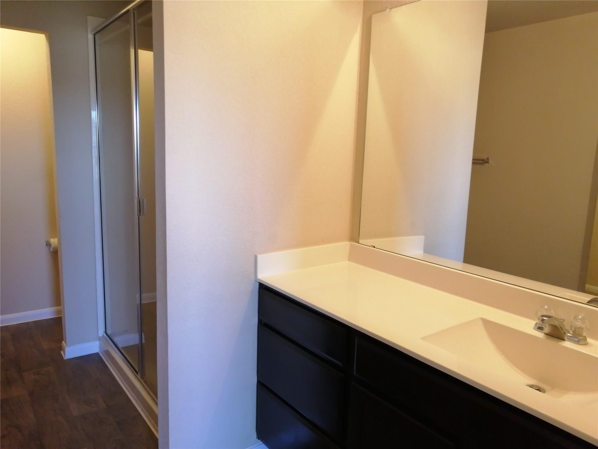 14313 Almodine Rd, Manor, TX 78653