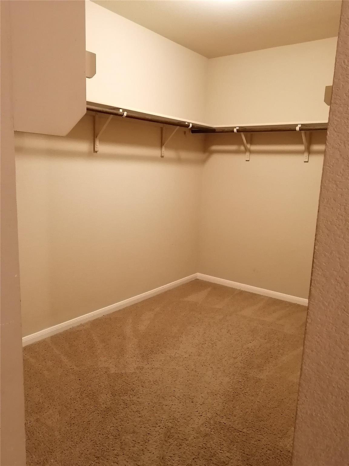 14313 Almodine Rd, Manor, TX 78653