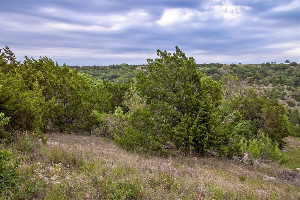 197 Sierra Dr, Bertram, TX 78605