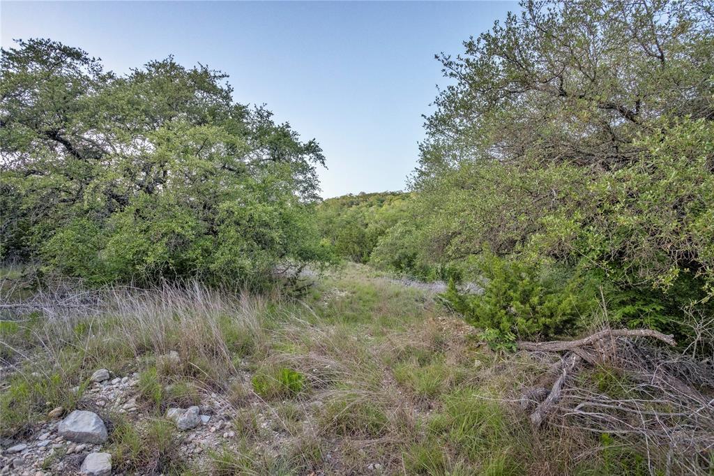 197 Sierra Dr, Bertram, TX 78605