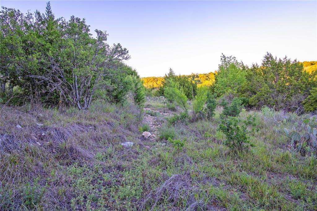 197 Sierra Dr, Bertram, TX 78605