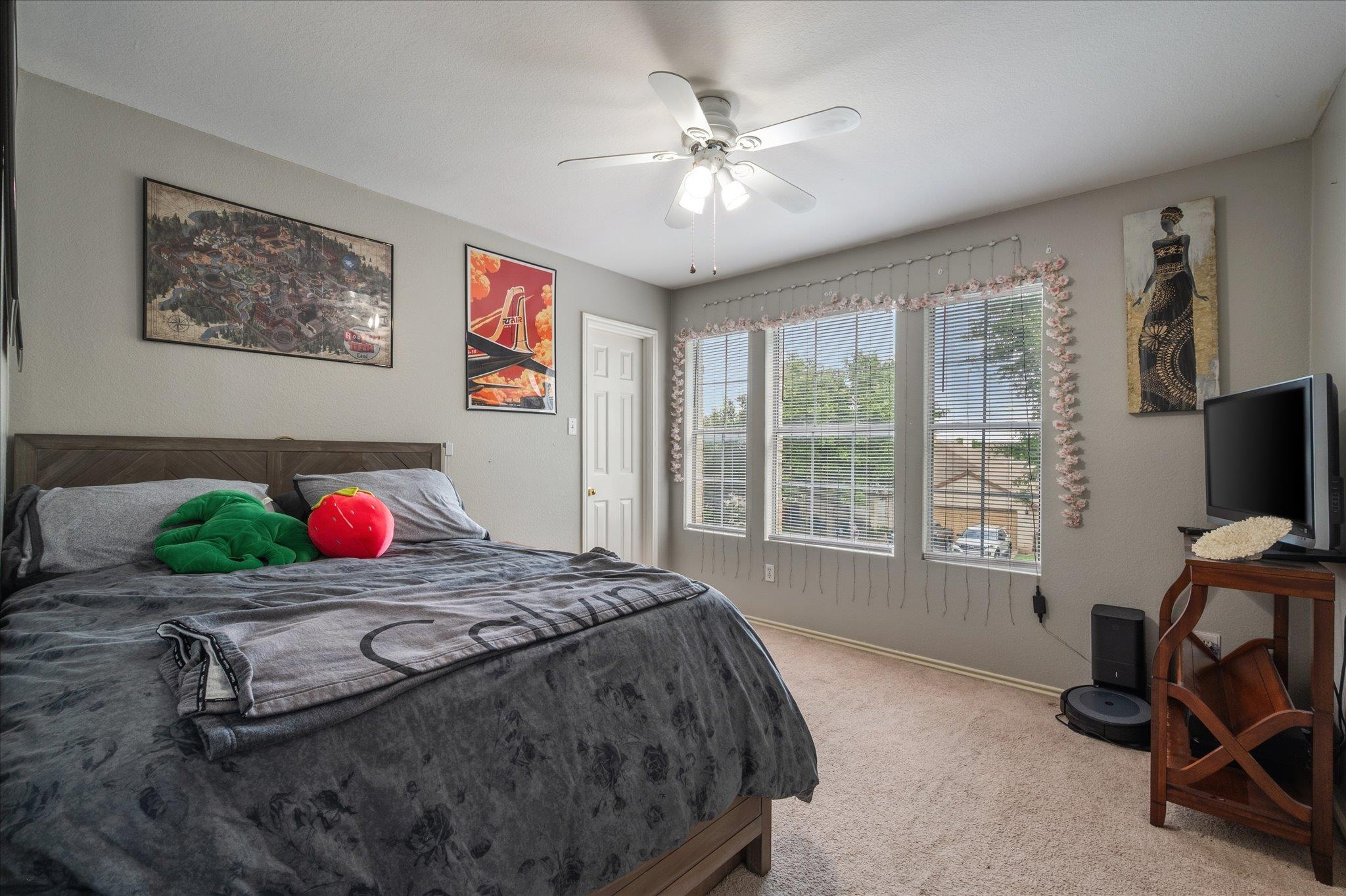 922 Satellite Vw, Round Rock, TX 78665