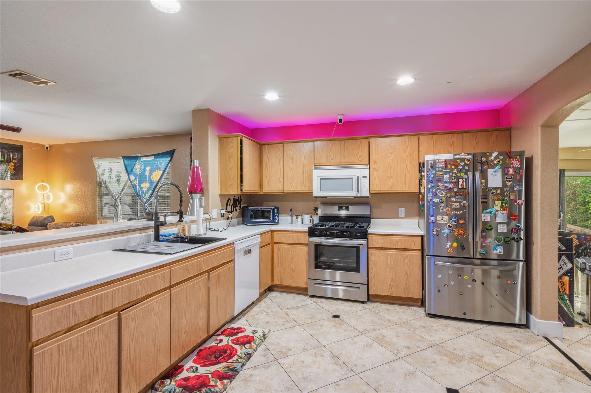 922 Satellite Vw, Round Rock, TX 78665