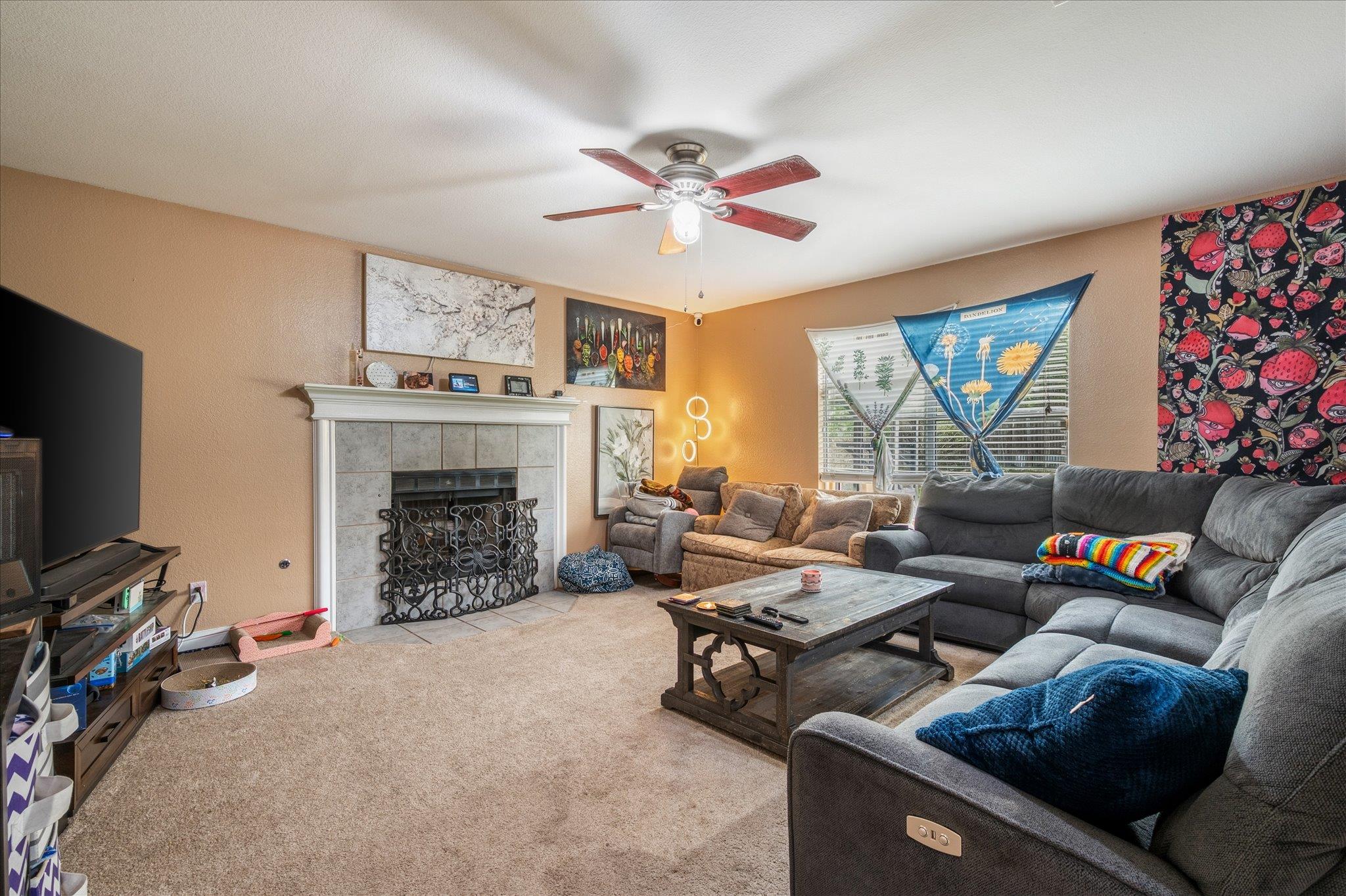 922 Satellite Vw, Round Rock, TX 78665